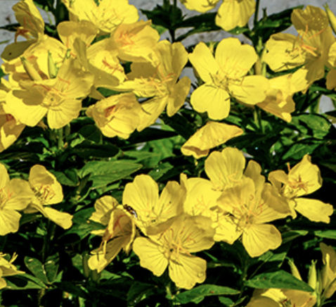 Screen Shot 2026-01-06 at 14.25.54.png