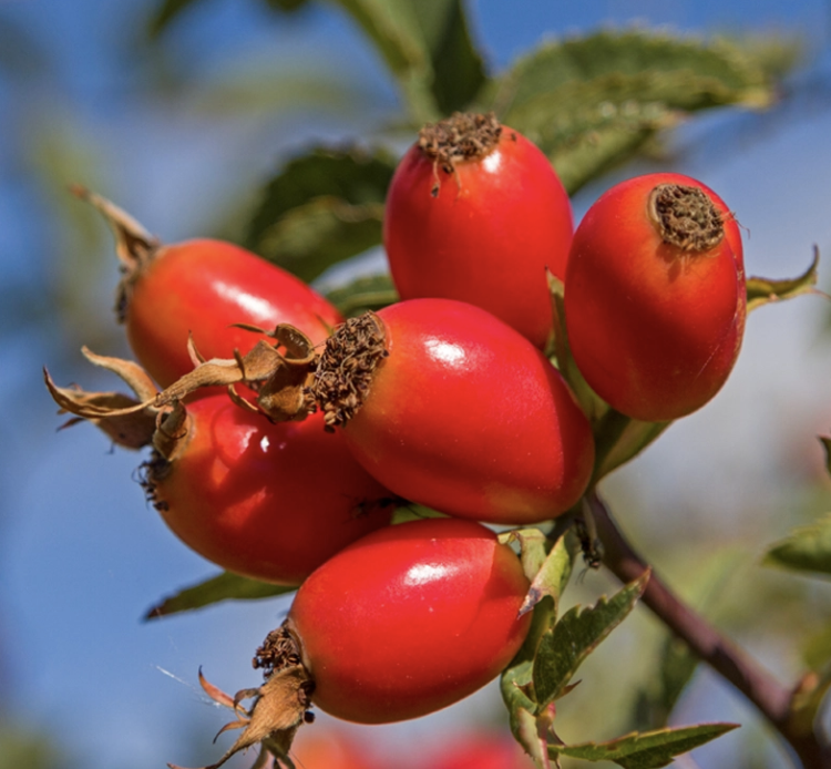 Screen Shot 2026-01-06 at 19.01.06.png