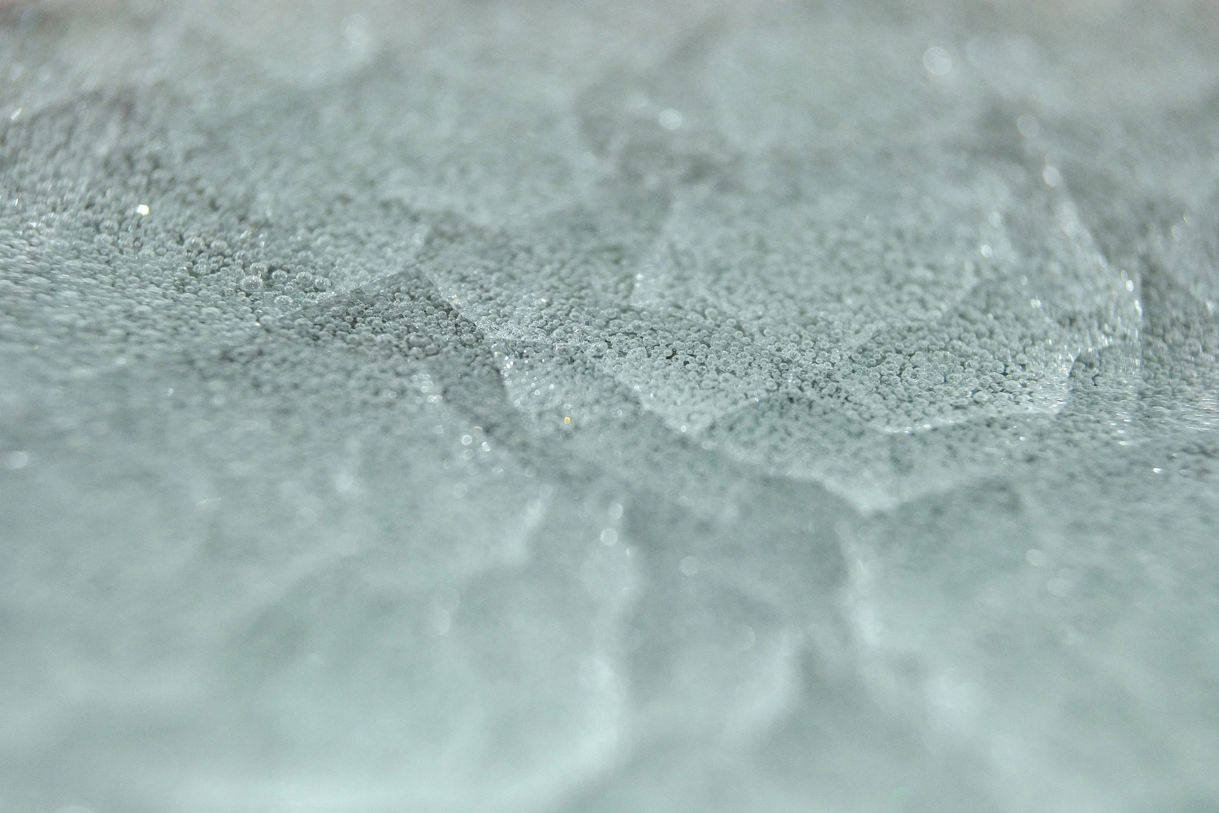 Mike Scown 4 copy.JPG