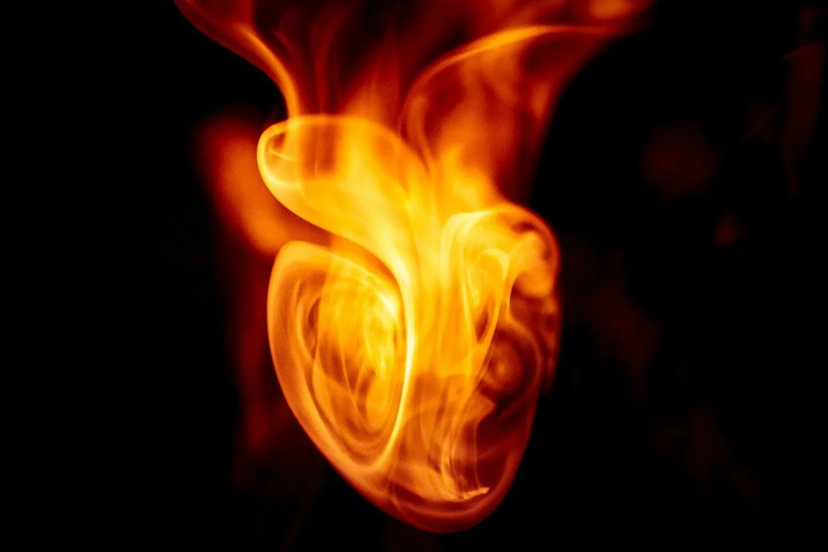 Searching for the Heart of God: David Jordan (S)