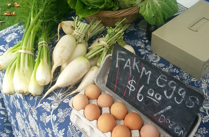 The Decatur Farmers Market is open for the season at FBCD. Come visit the market on the front lawn on Wednesdays between 4:00 and 7:00 p.m. and Saturdays between 9:00am and 1:00pm.