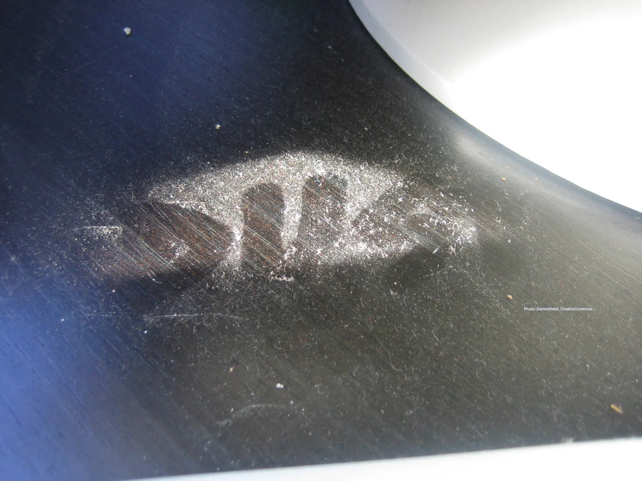 Pardon Our Dust