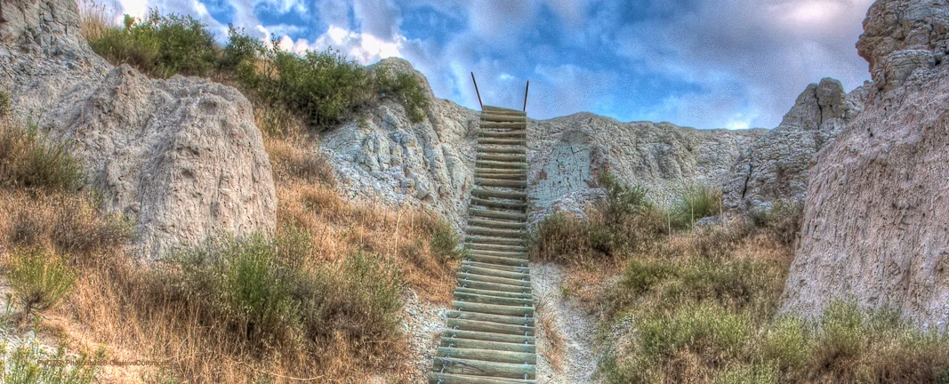 A Way Forward — Reflections on God, the Church and LGBT Brothers and Sisters