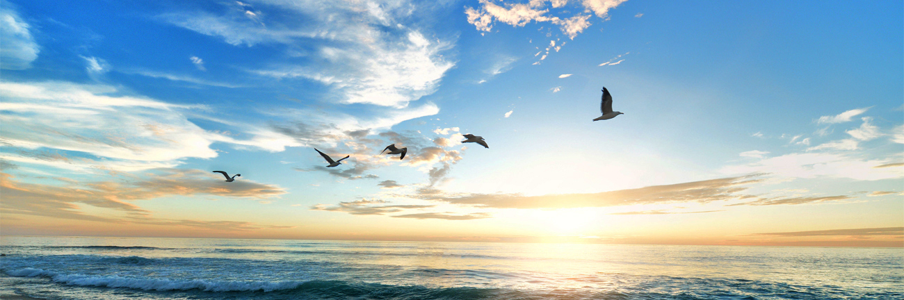 The Great Spiritual Migration