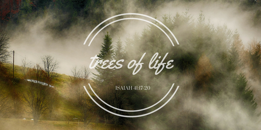 Trees of Life TW.png