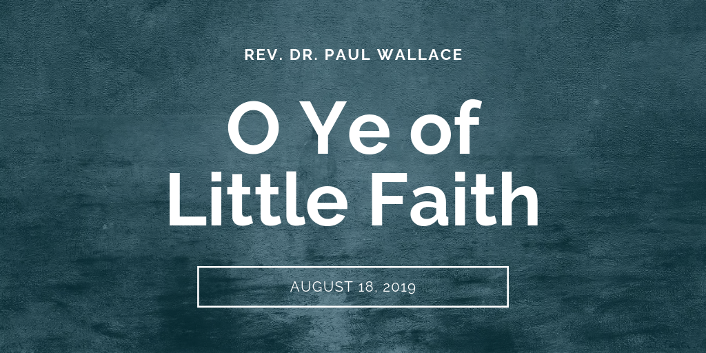 sermons-o-ye-of-little-faith-first-baptist-church-decatur-paul-wallace-tw.png