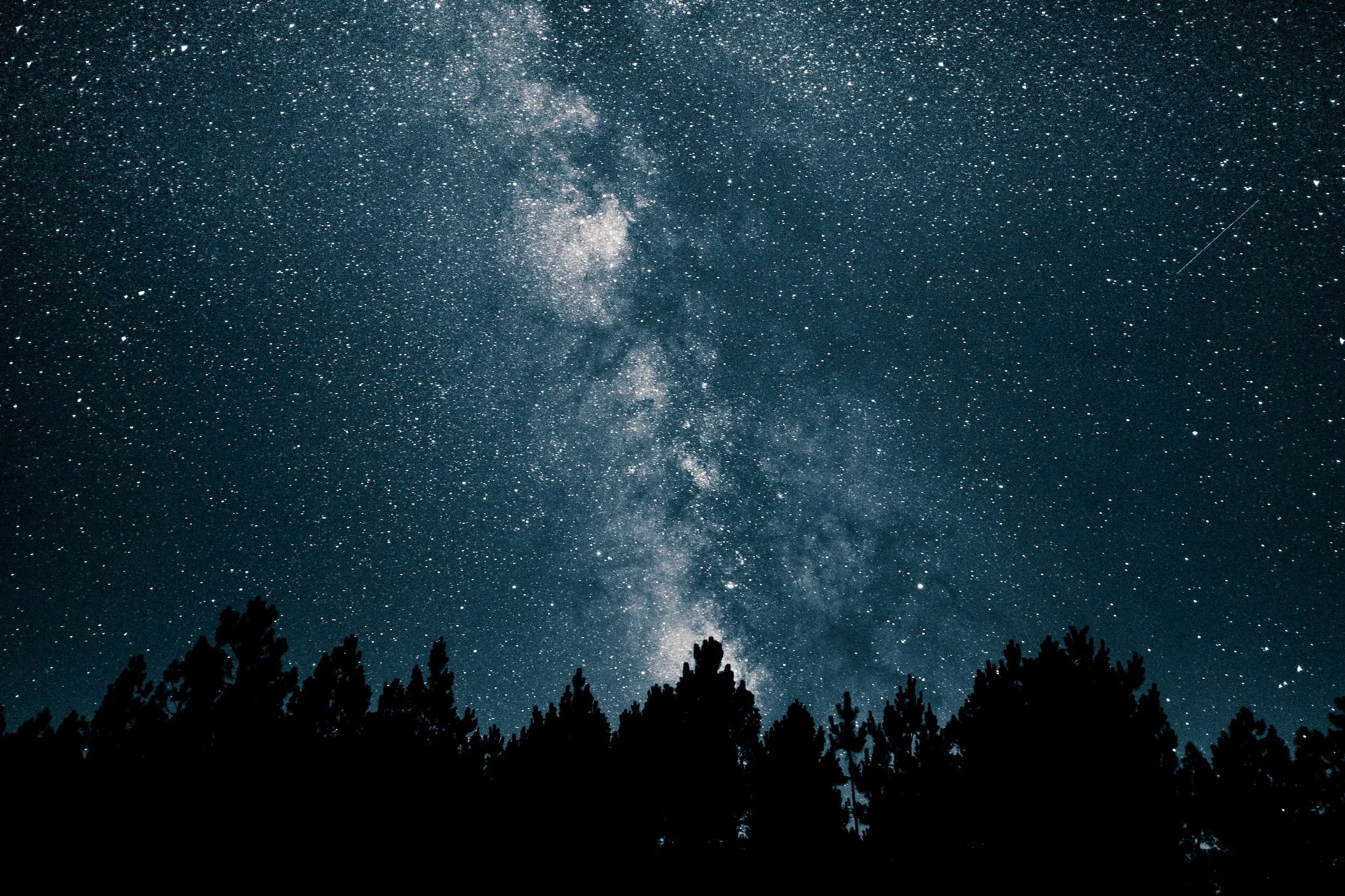 The Story of Silent Night