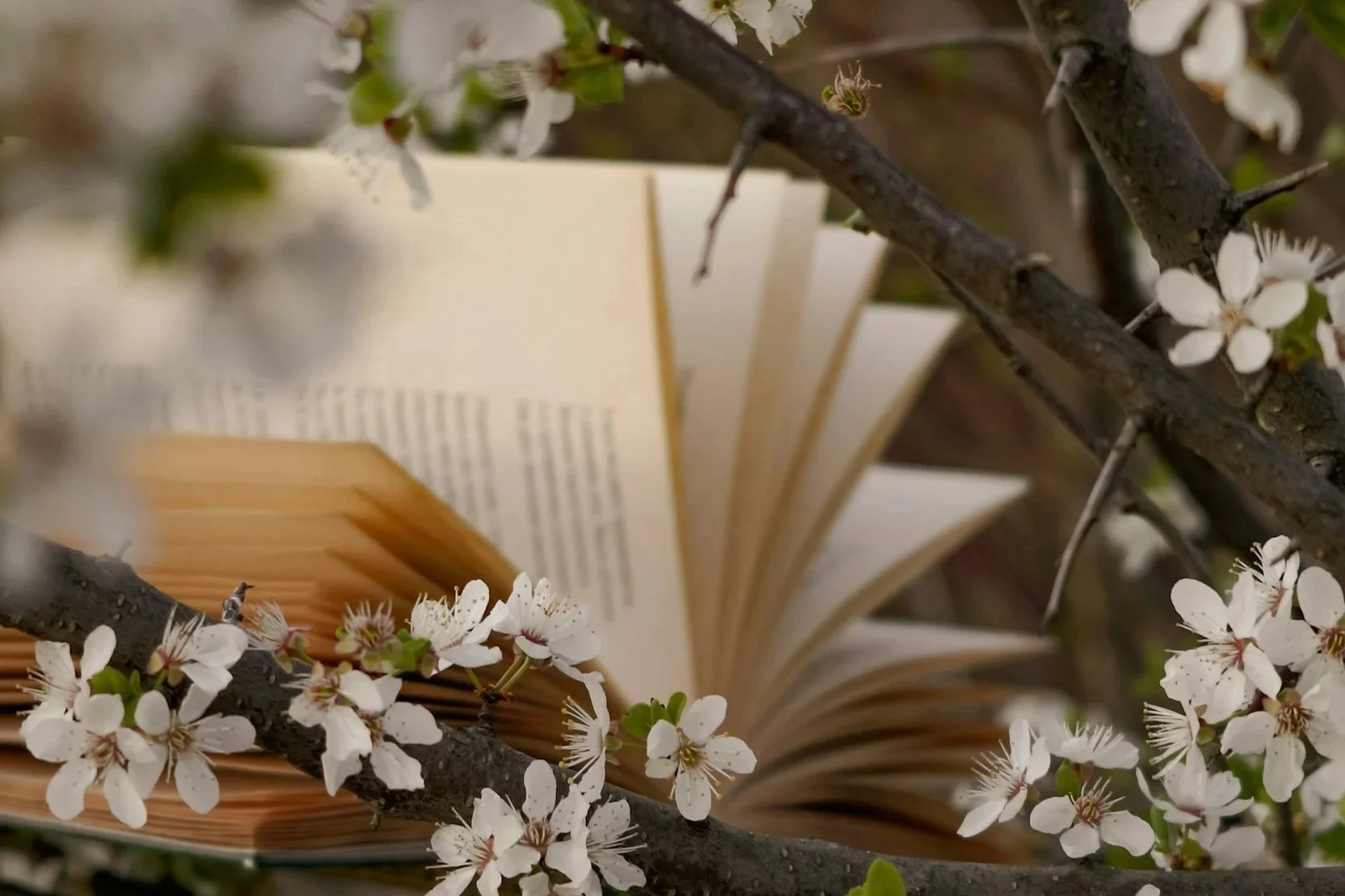 Beth’s Books - March