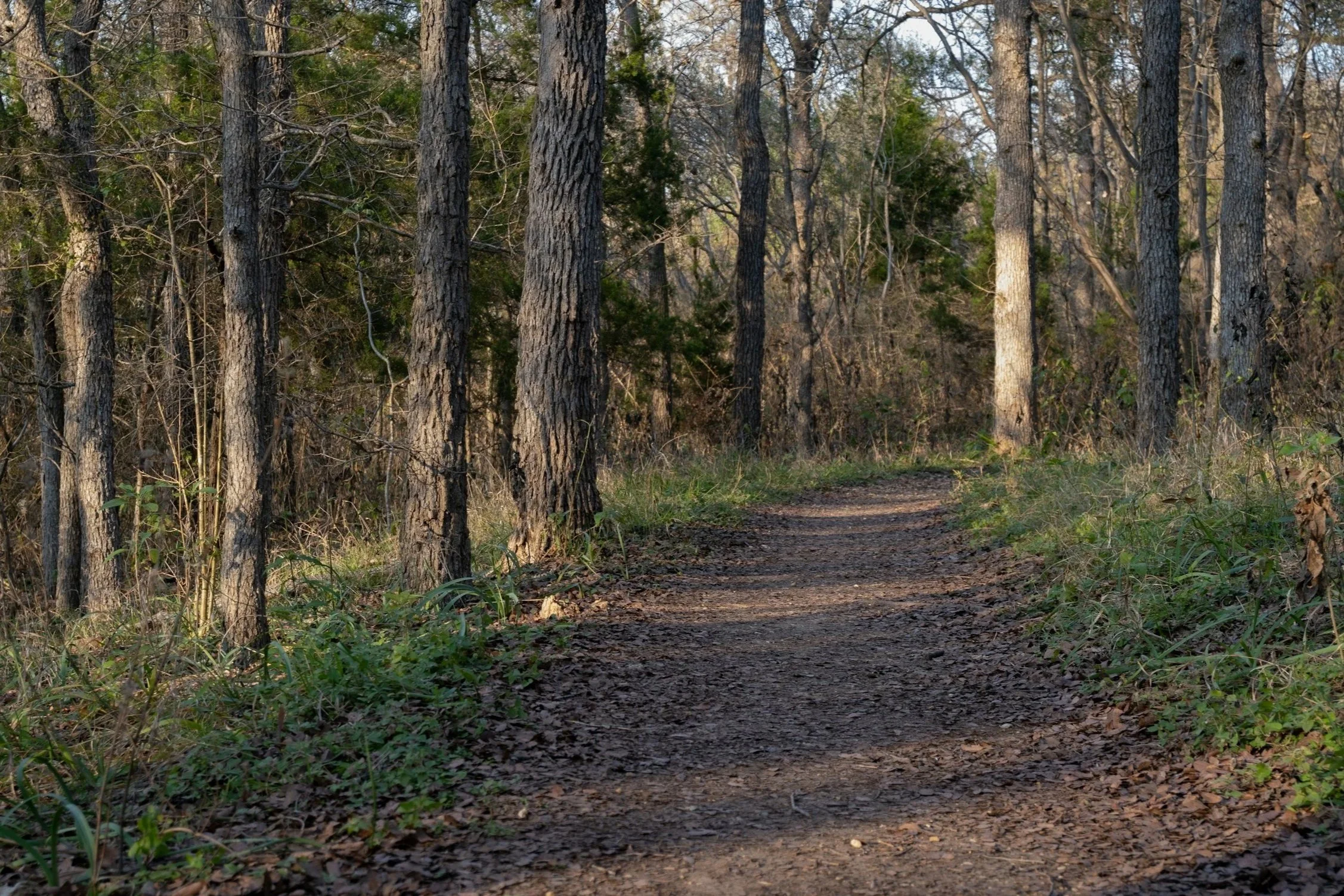 FBCD Young Adults Hike (Kennesaw Mountain)
