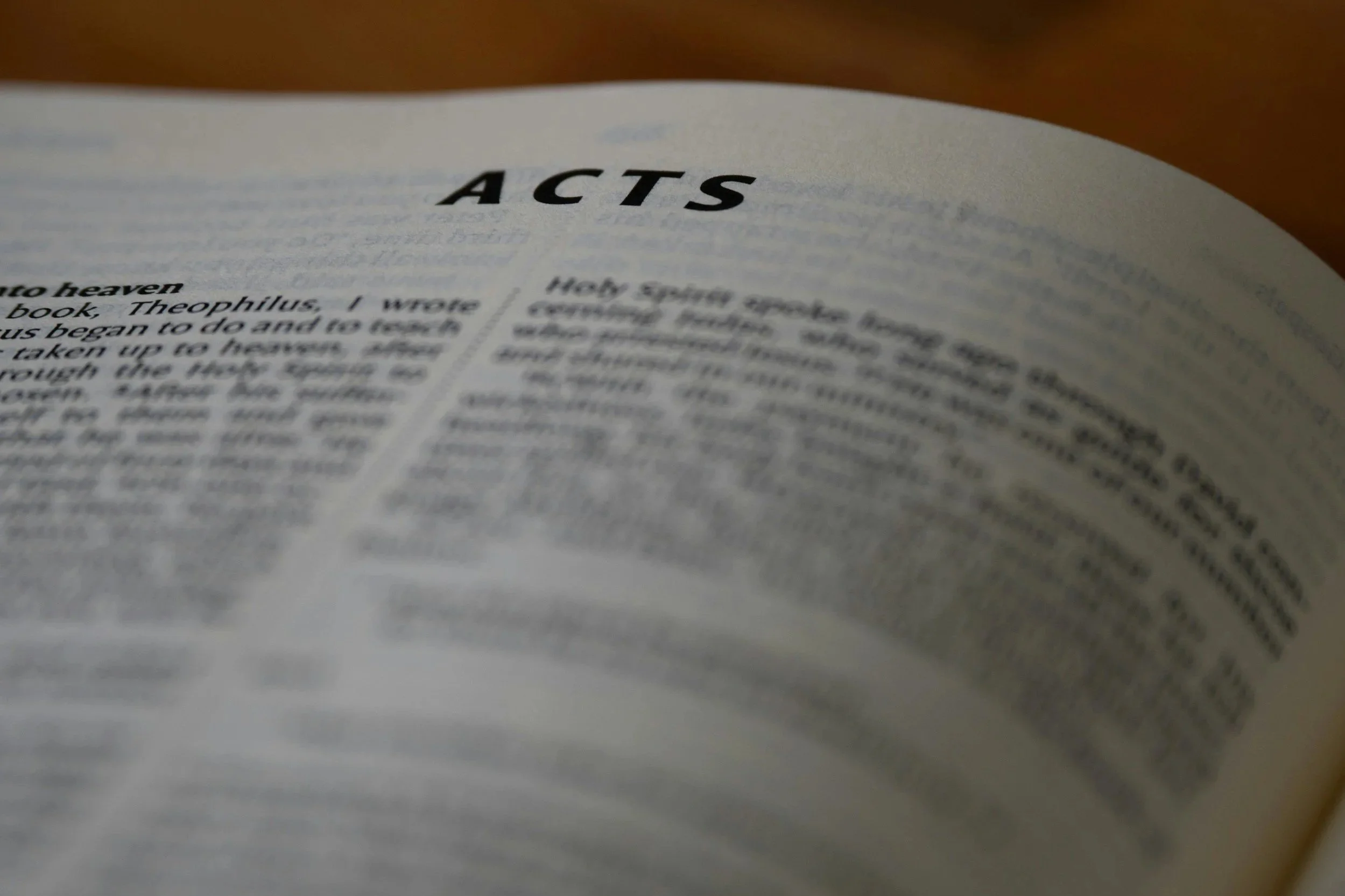 Citizen Paul: David Jordan (S)