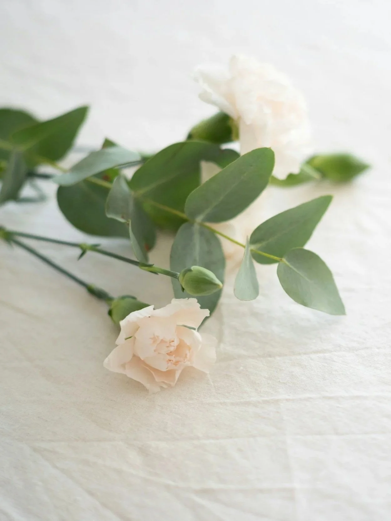 Celebration of Life Services for Sylvia Chandler and Dorothea Gatlin