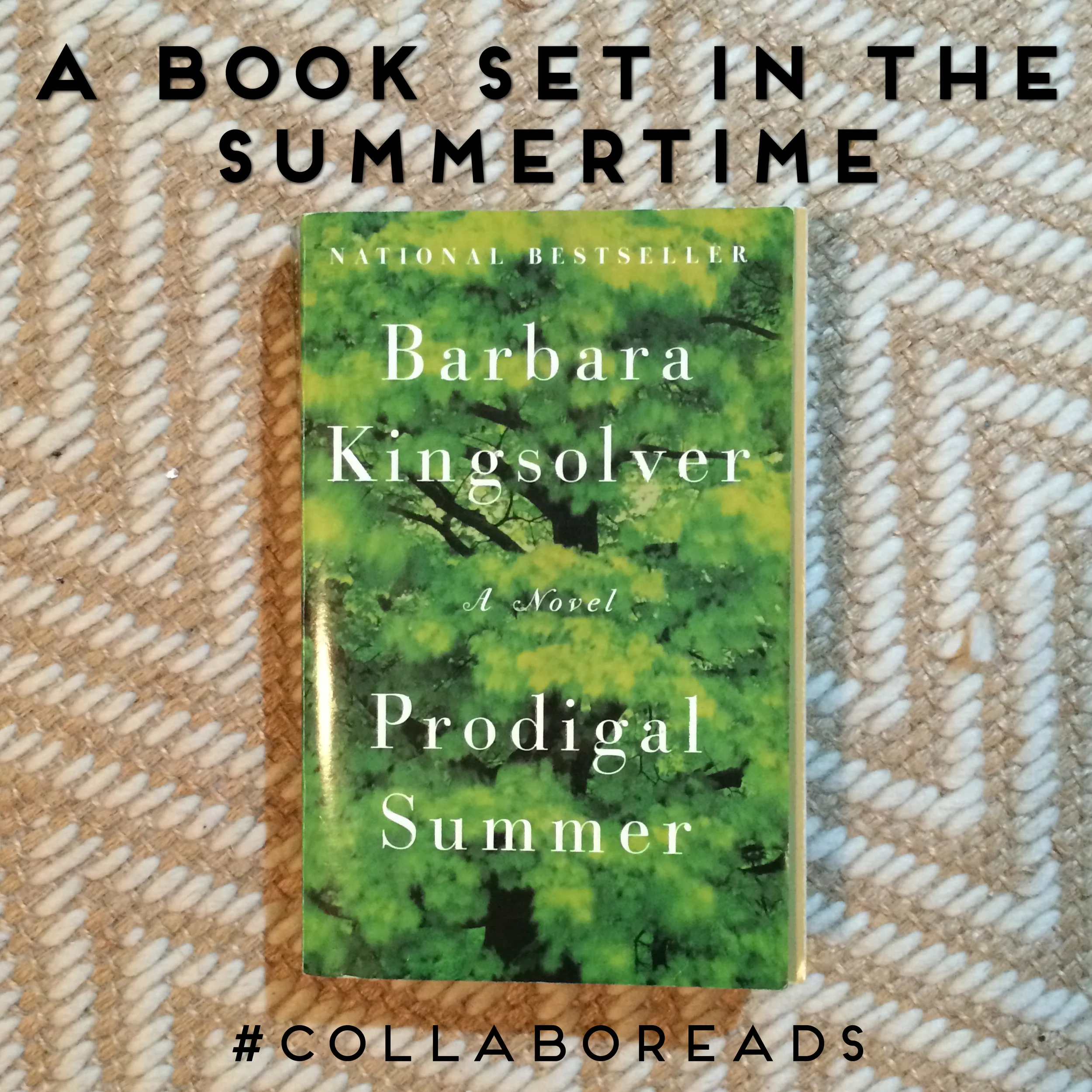 #COLLABOREADS: A Book Set in the Summertime