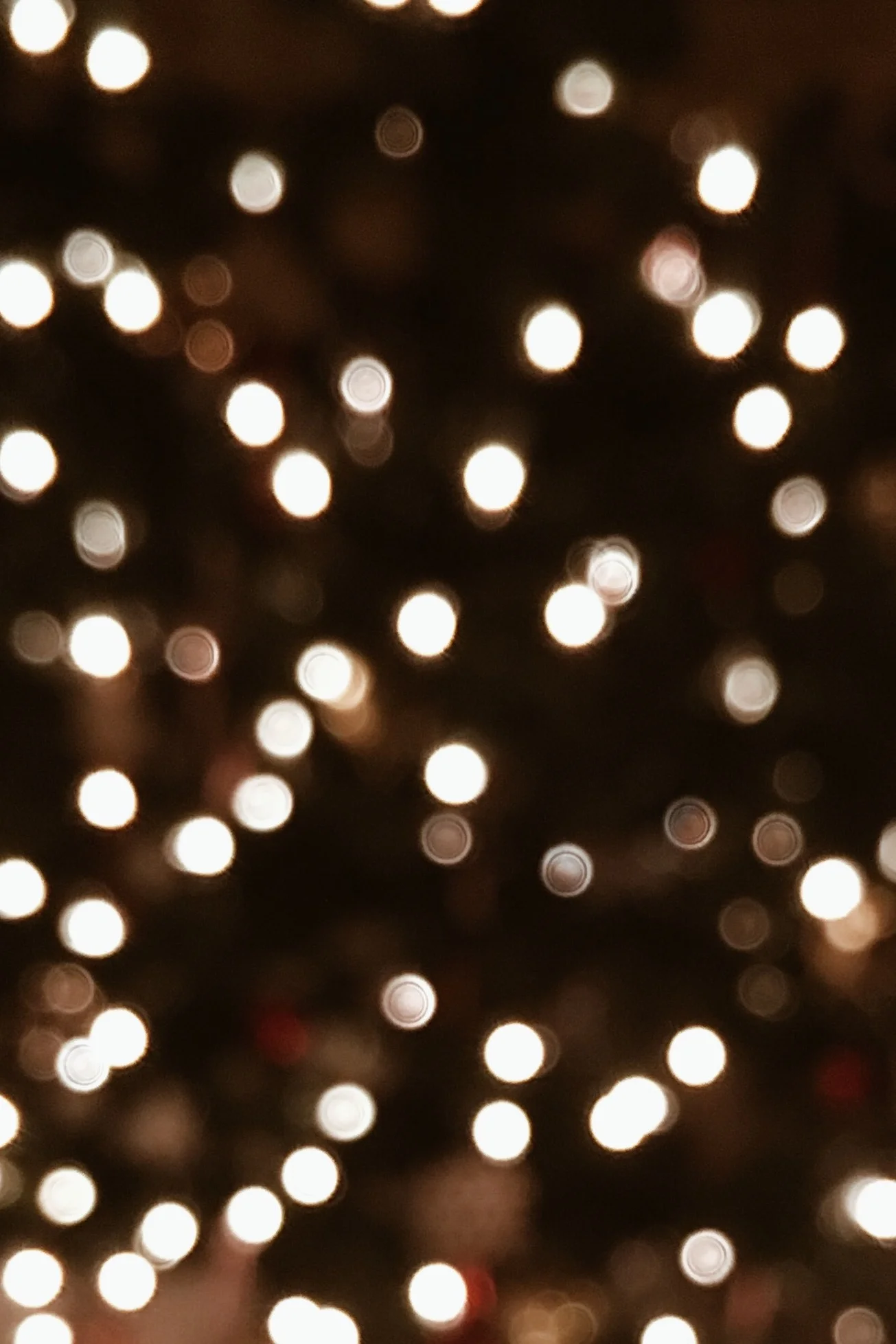 Five Finds Friday // Dec. 4