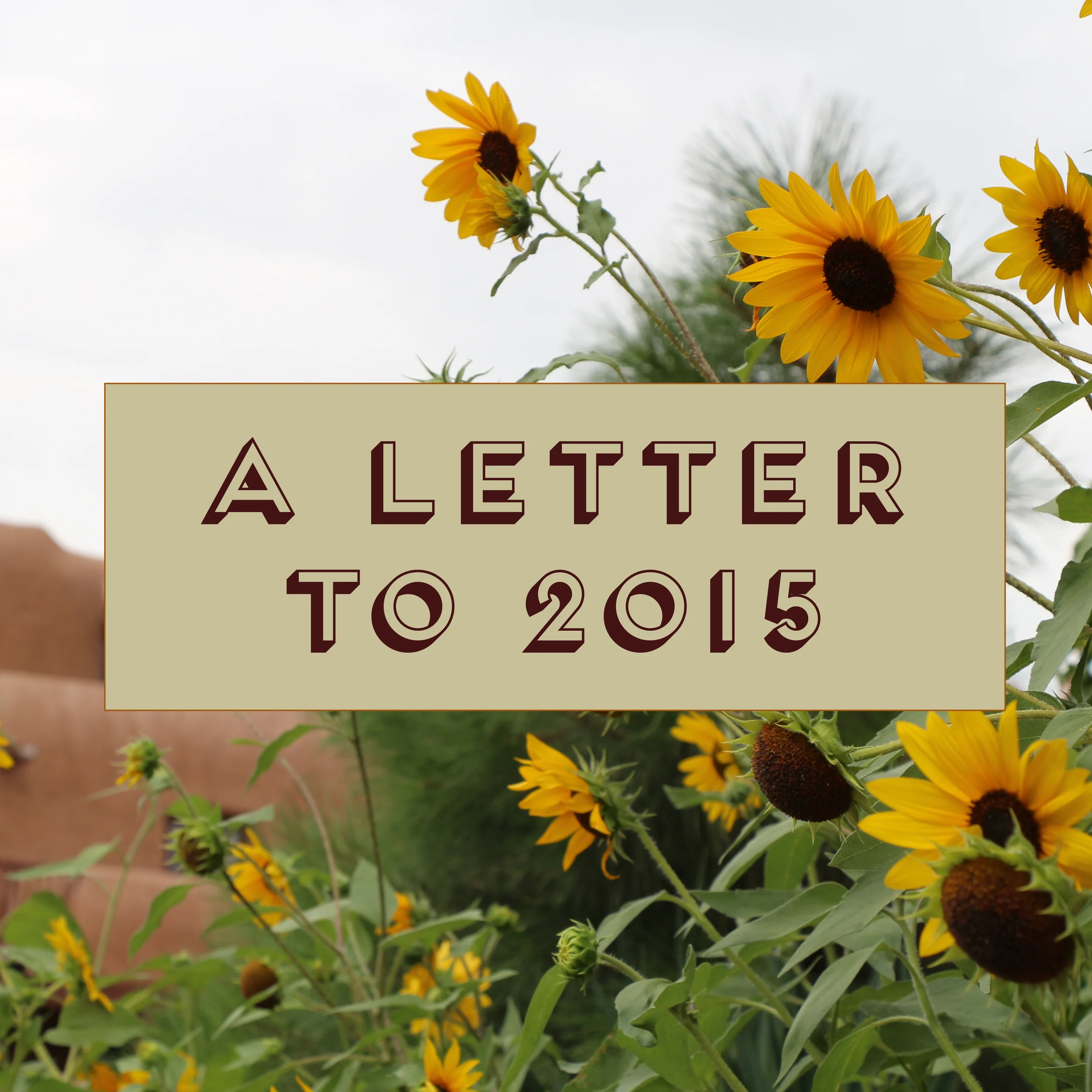 A Letter to 2015