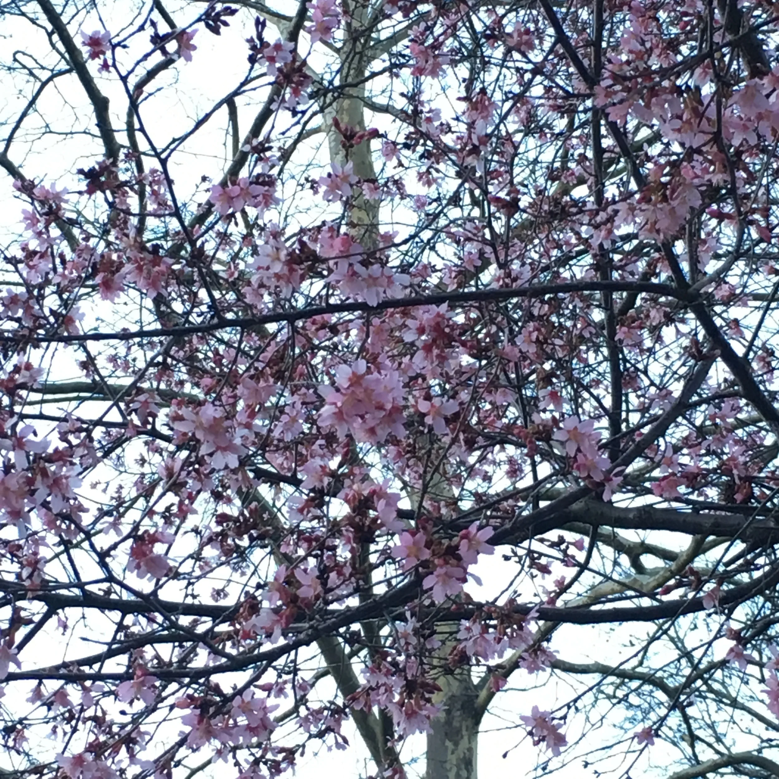 Three. Sixteen. // A PLAYLIST