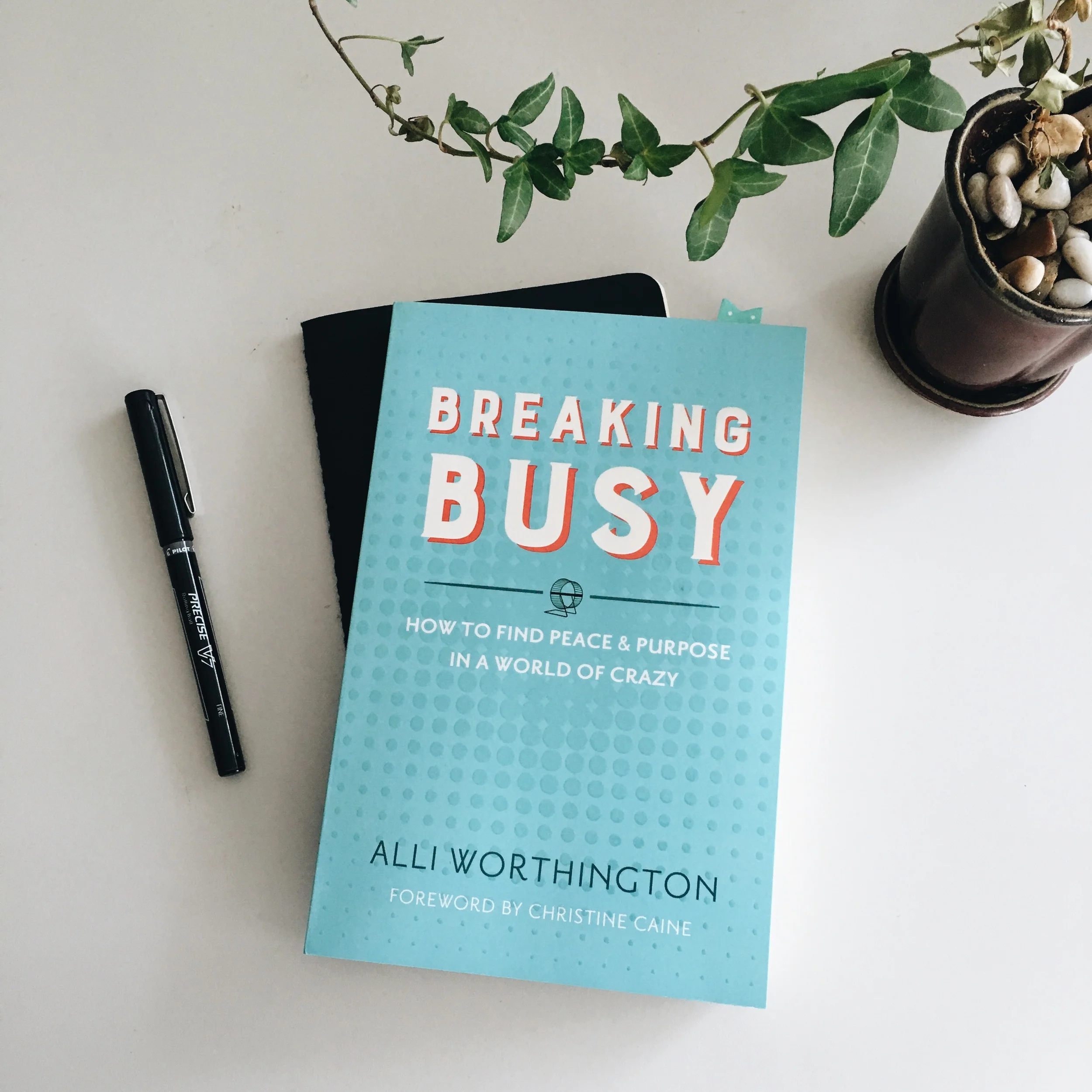 Breaking Busy // My Review