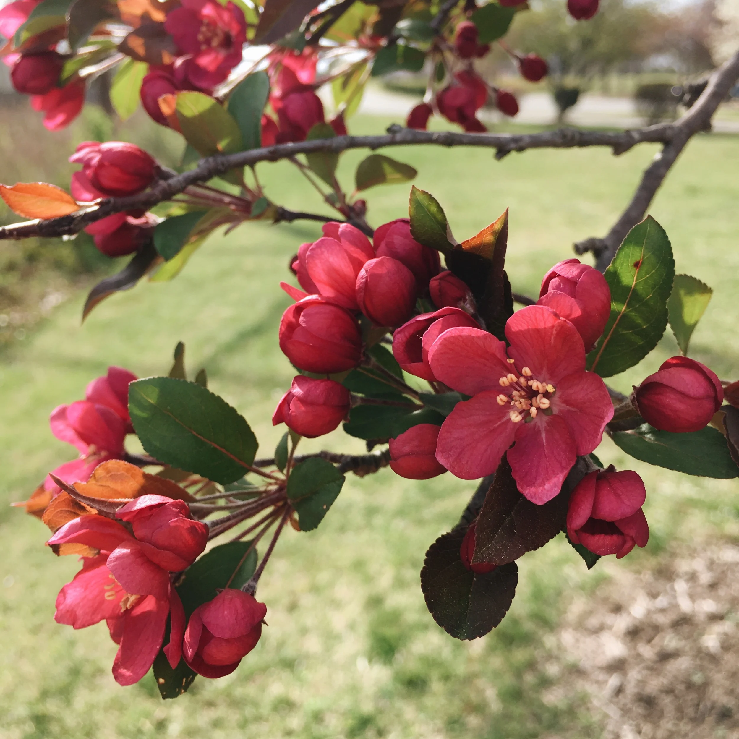 Five Finds Friday // April 1