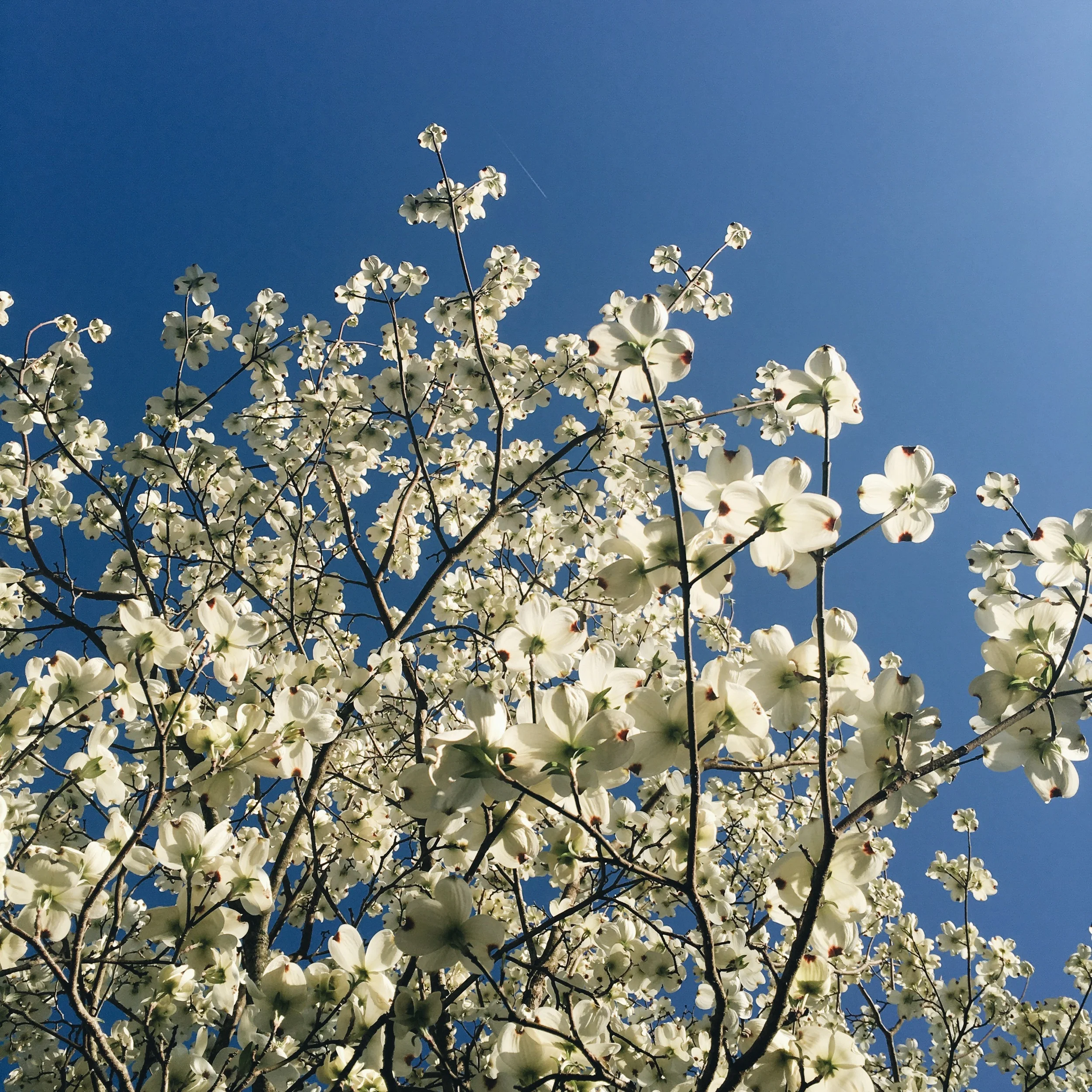 Four. Sixteen. // PLAYLIST