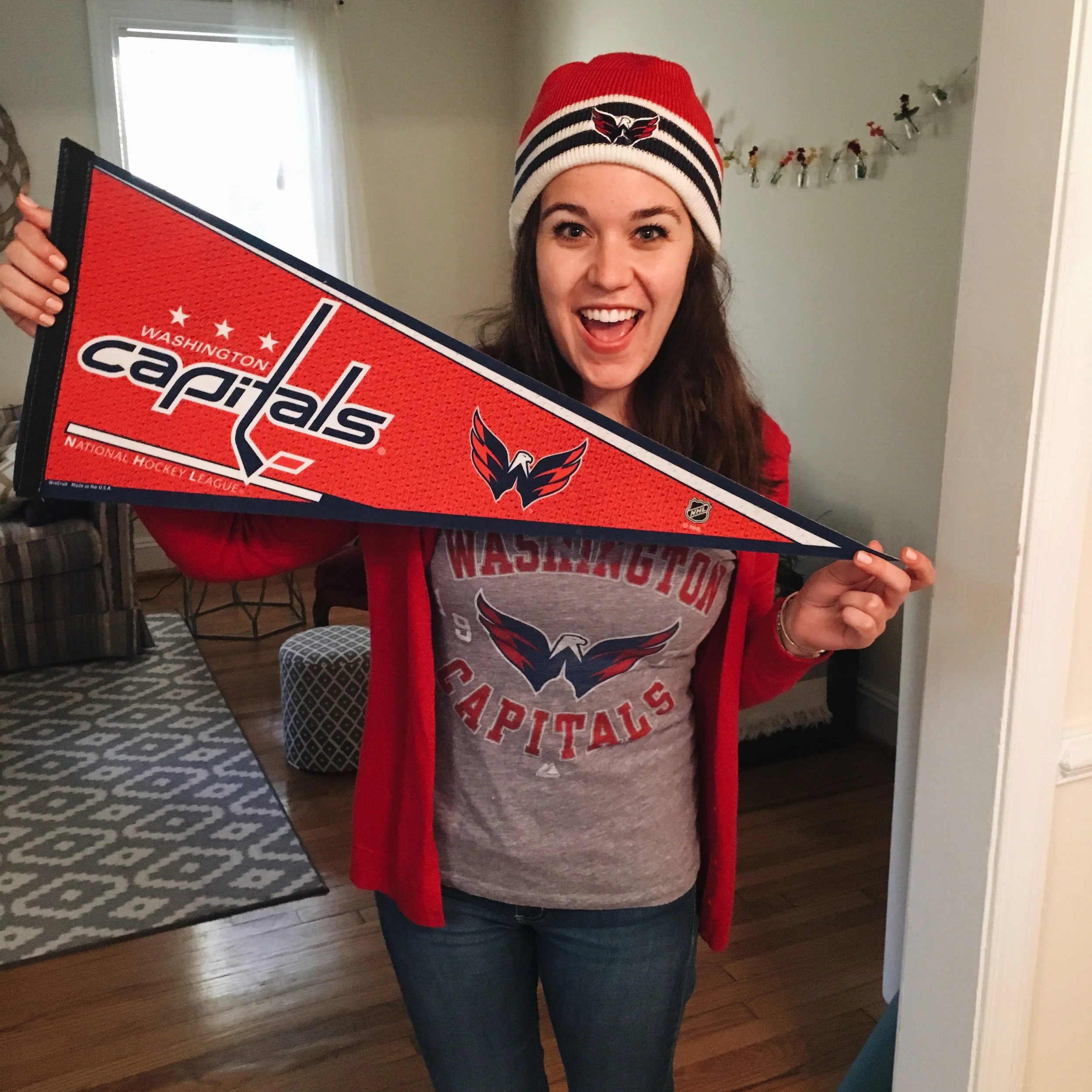 Reasons I Love Hockey