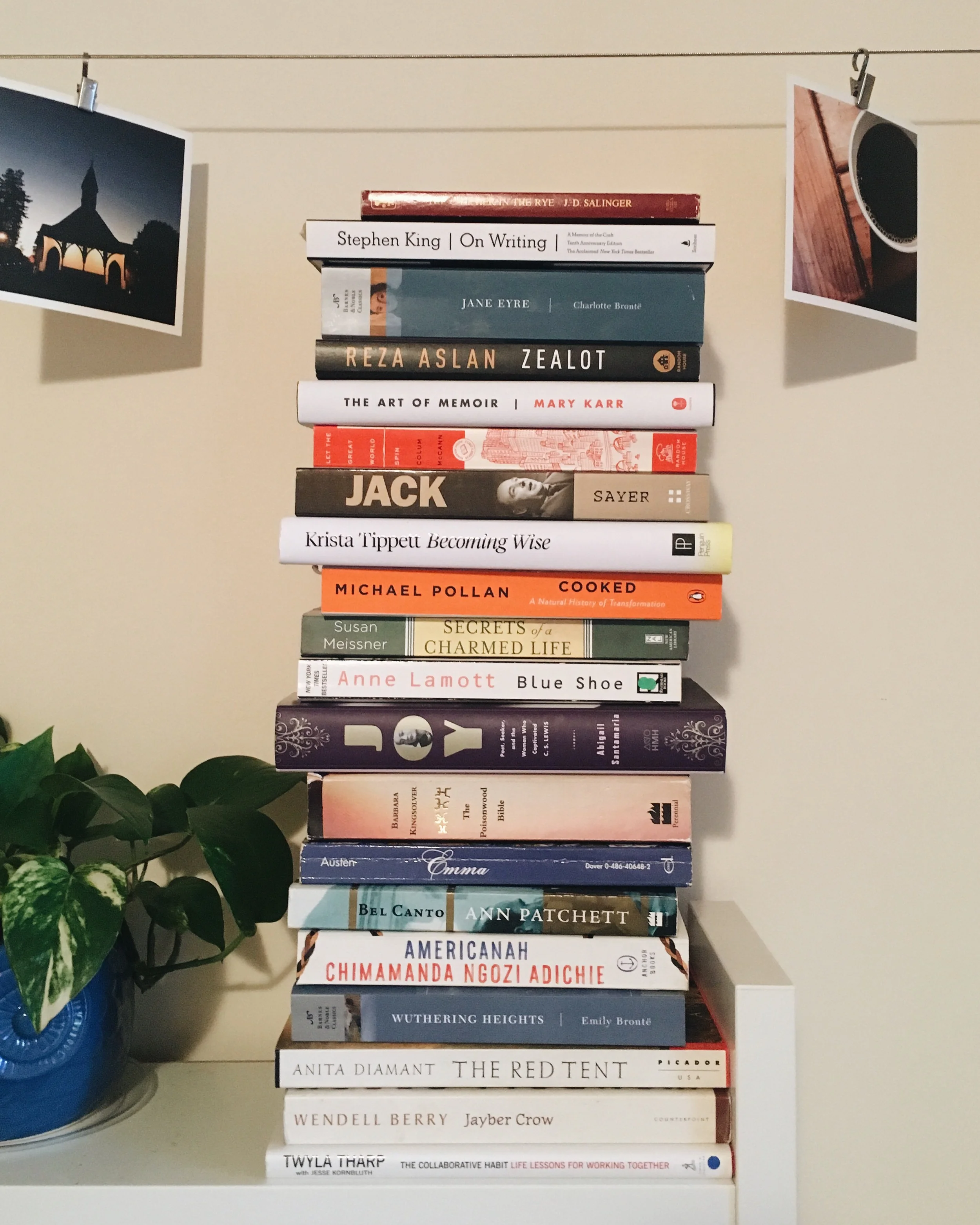 20 Books I Want to Read This Summer