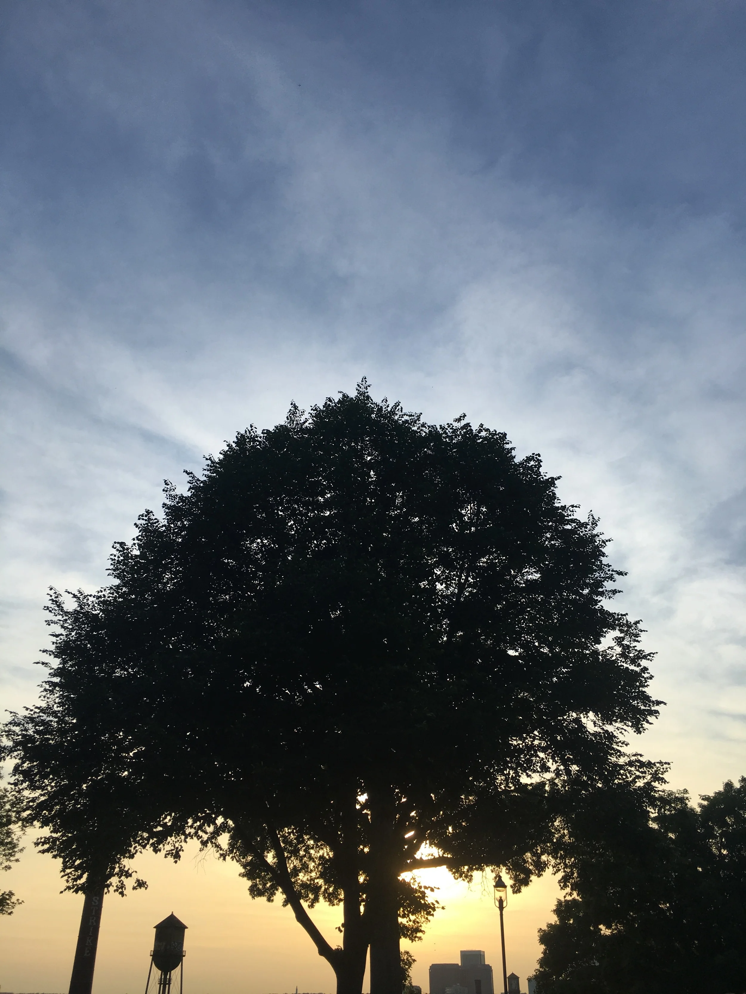 Let's Call Out to One Another in Worship of Our God