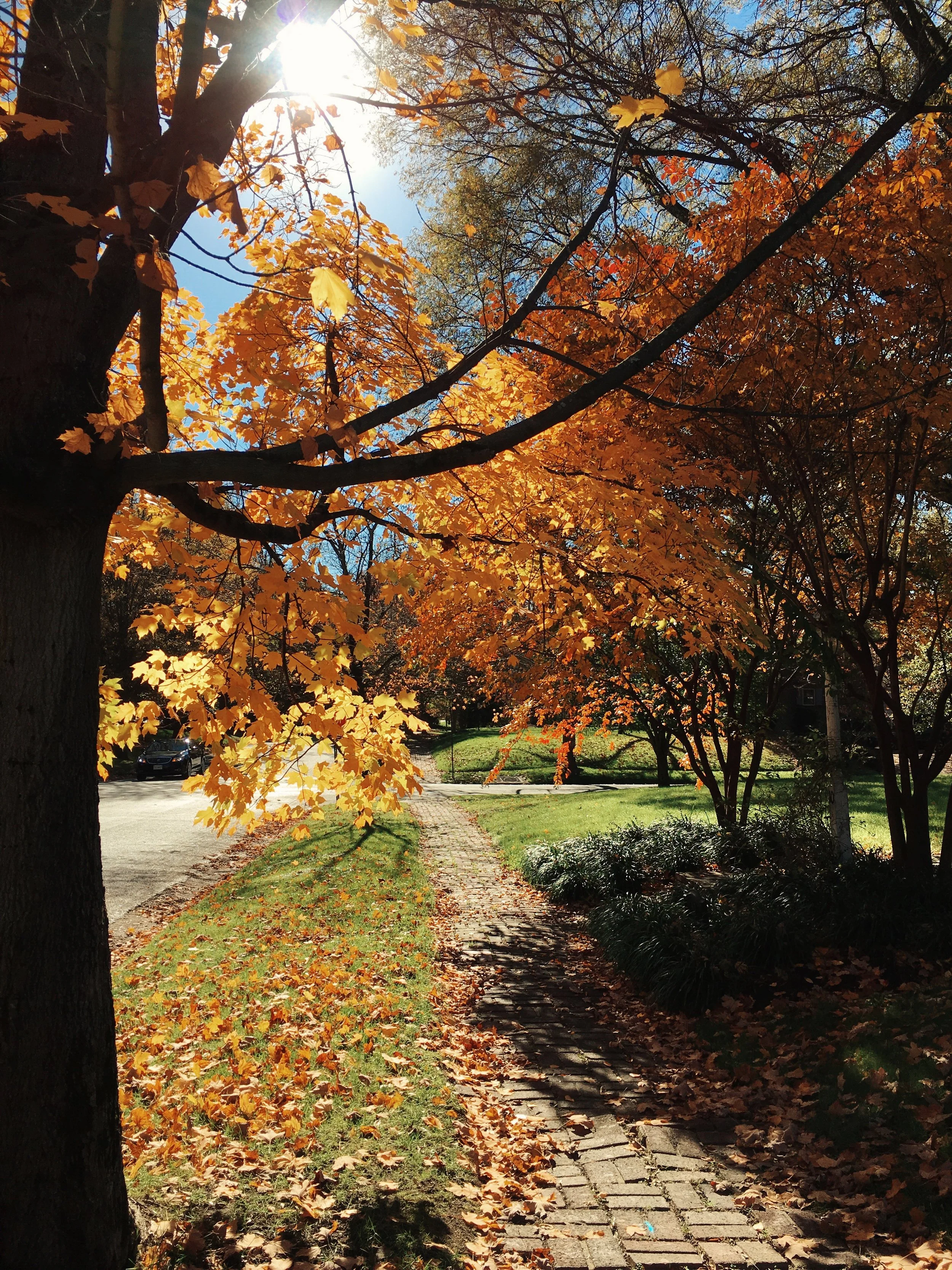 BLOG-TEMBER: Five Things That Bring Me Joy