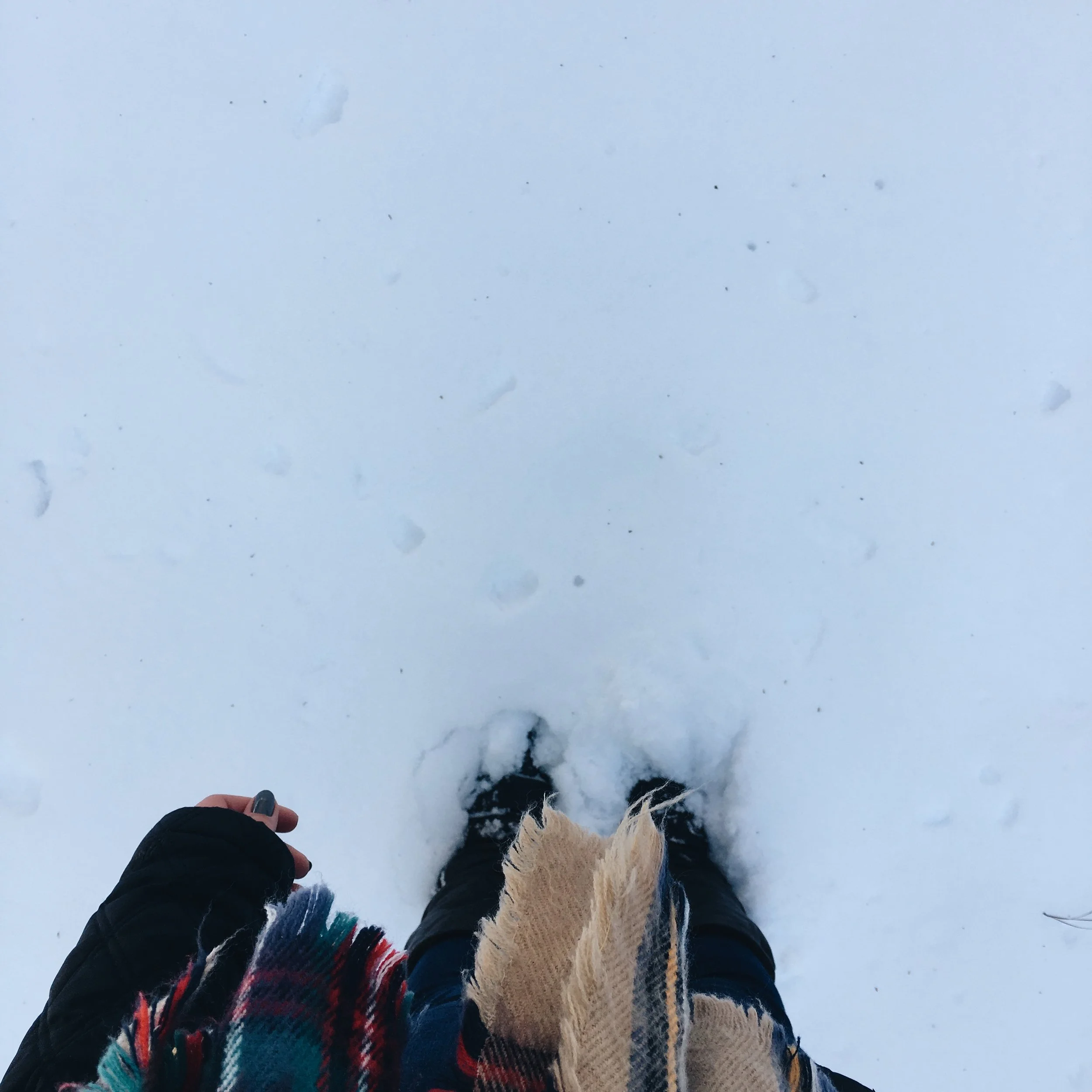 Little Letters // January 2017