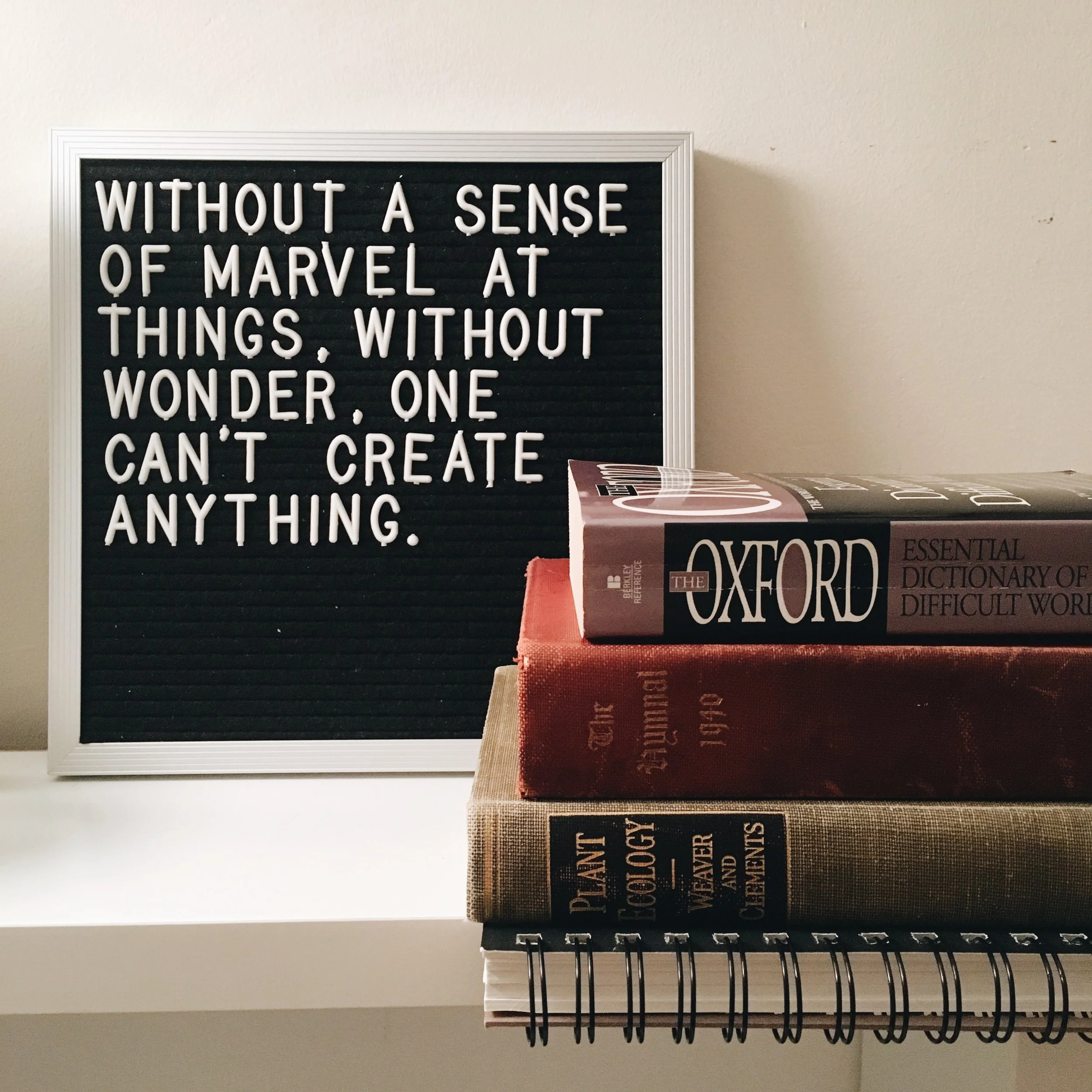 Kicking Off my Third Round of #The100DayProject