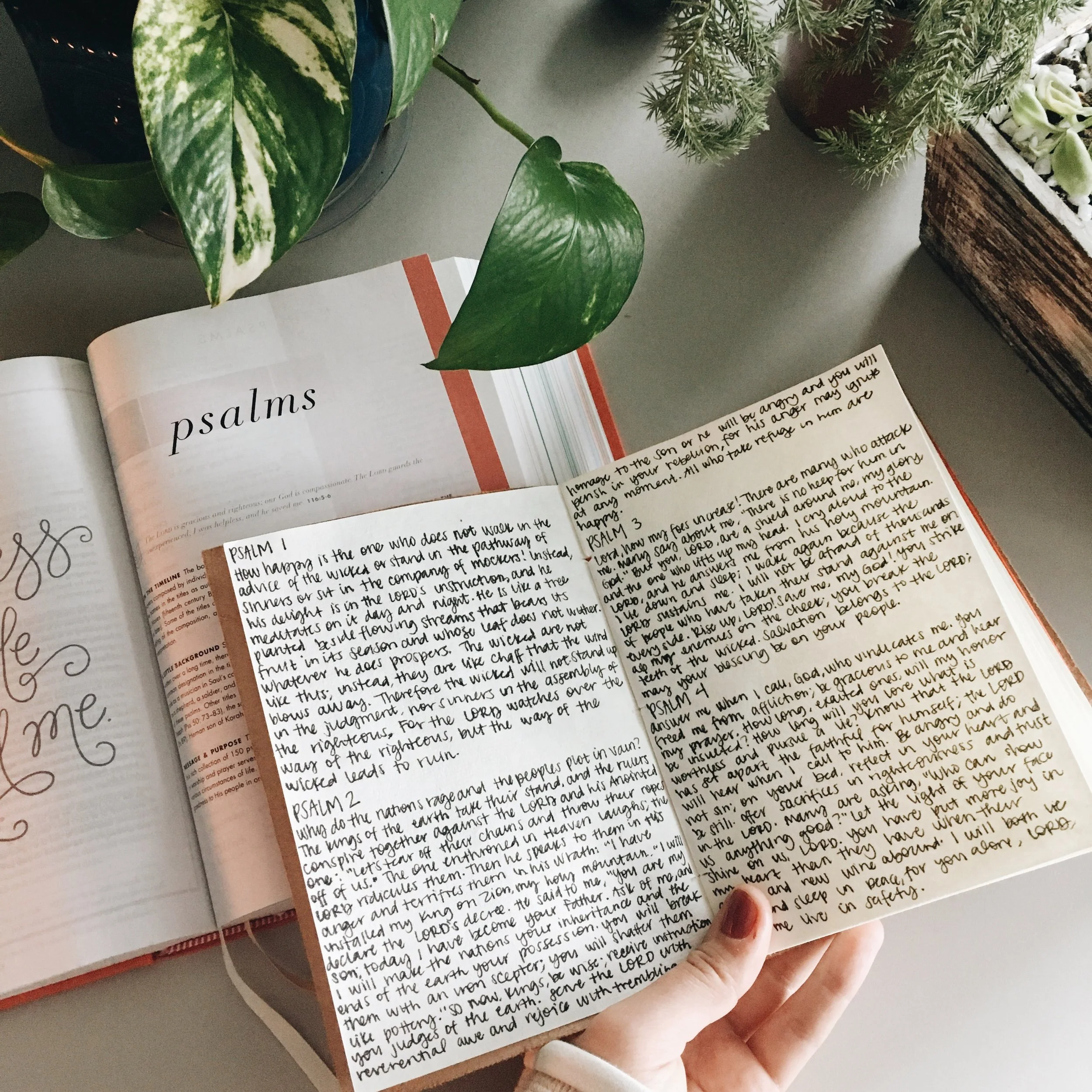 The RAD Stuff // Vol. 6