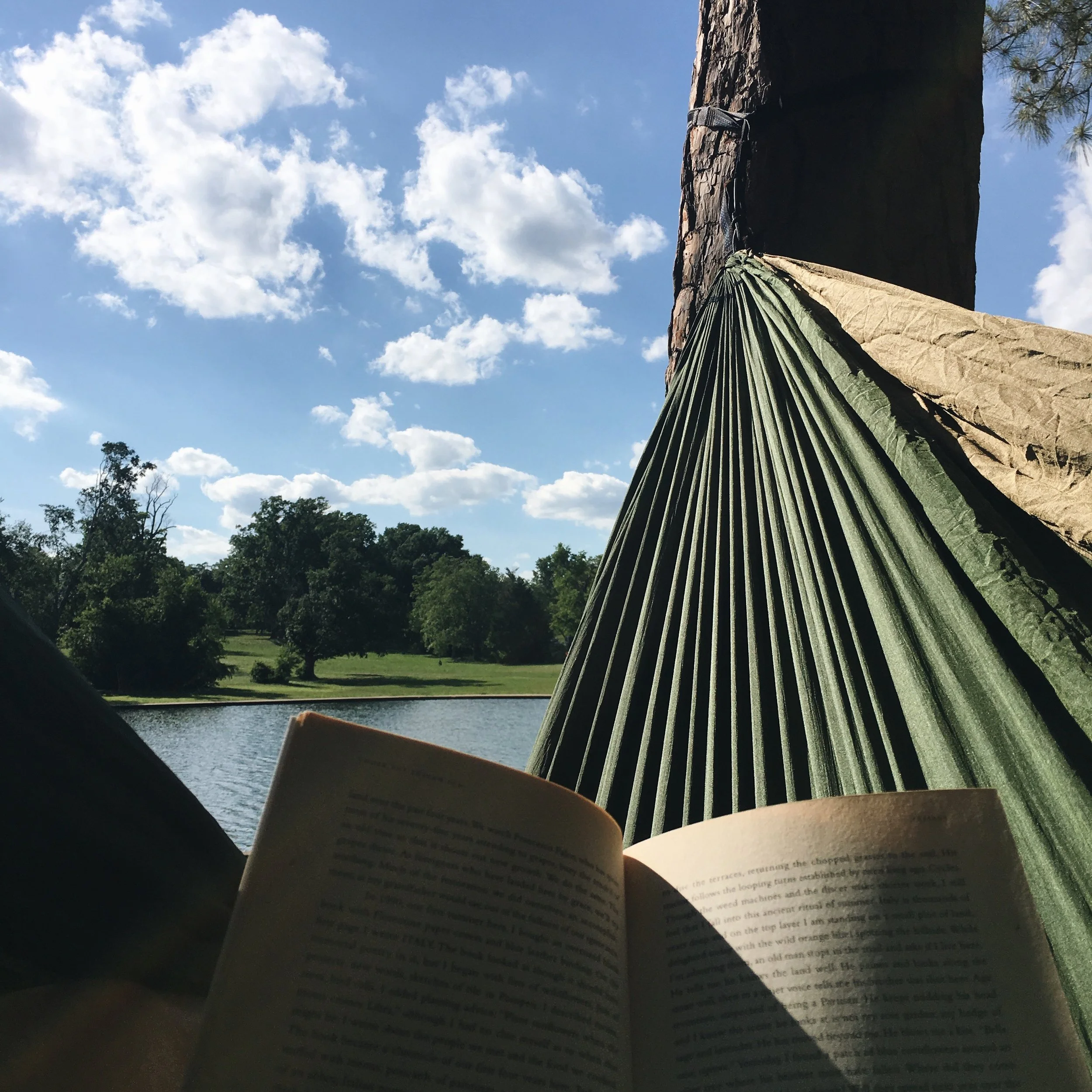 What Book Should YOU Read This Summer?