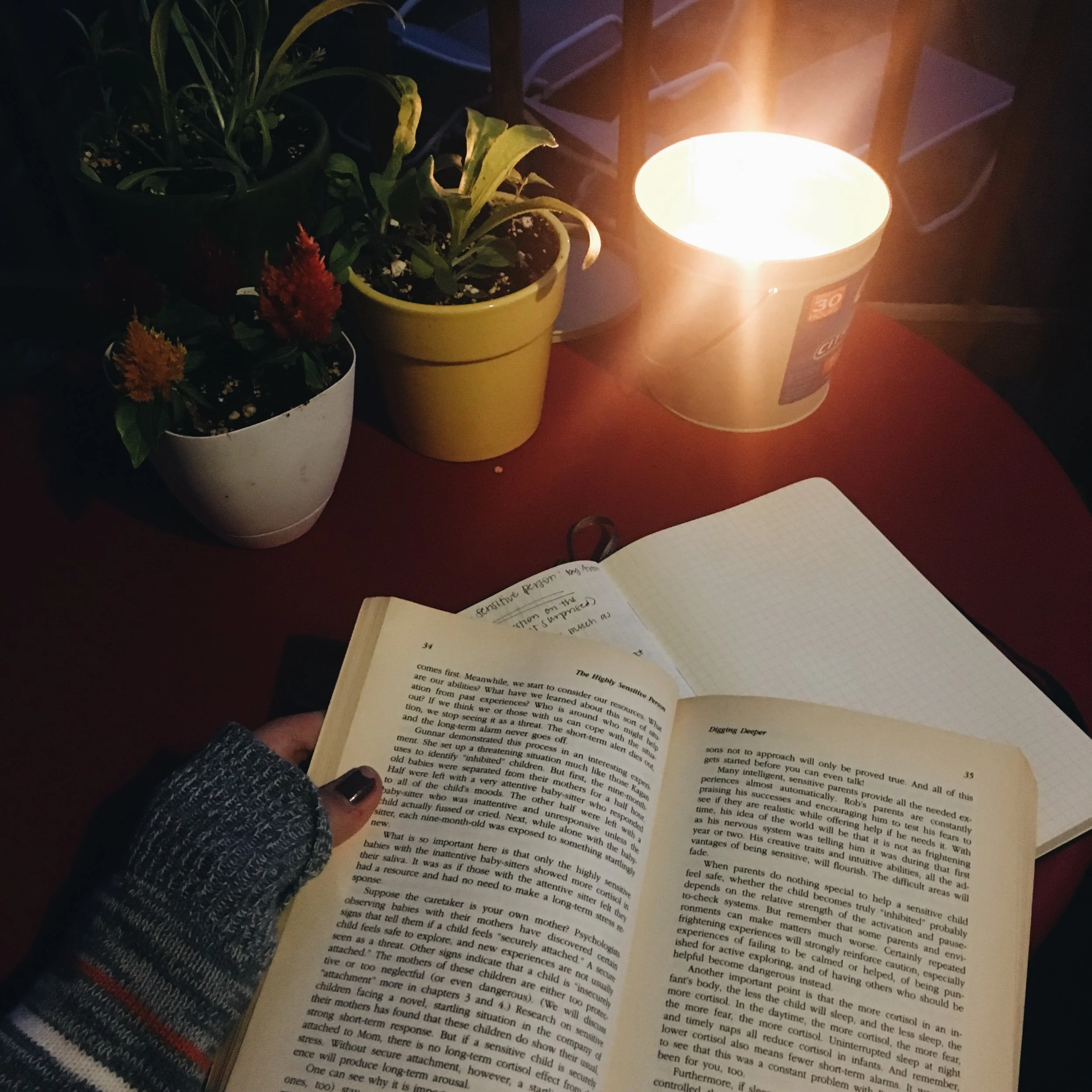 Little Letters // June 2017