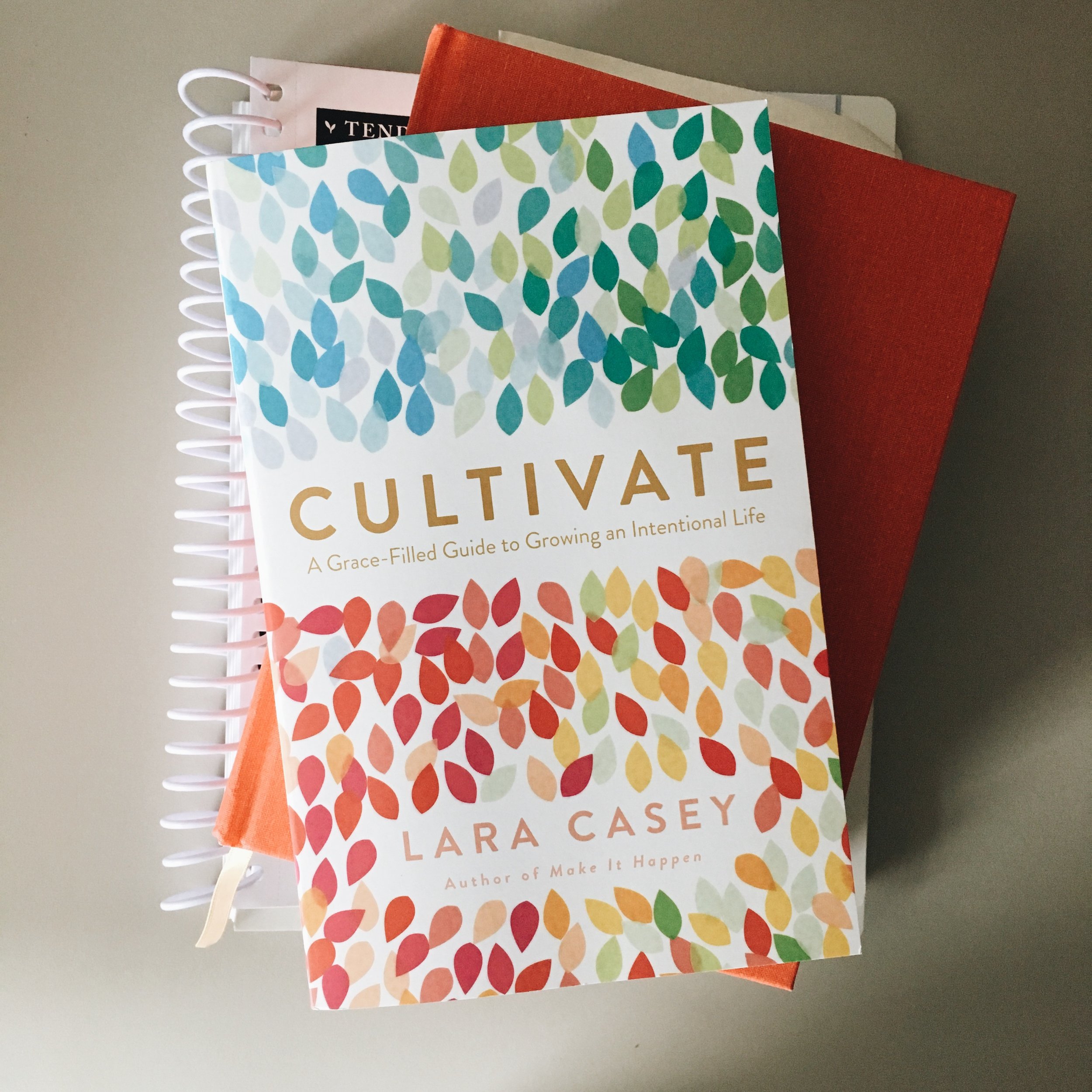 Cultivate // A Special Book Review