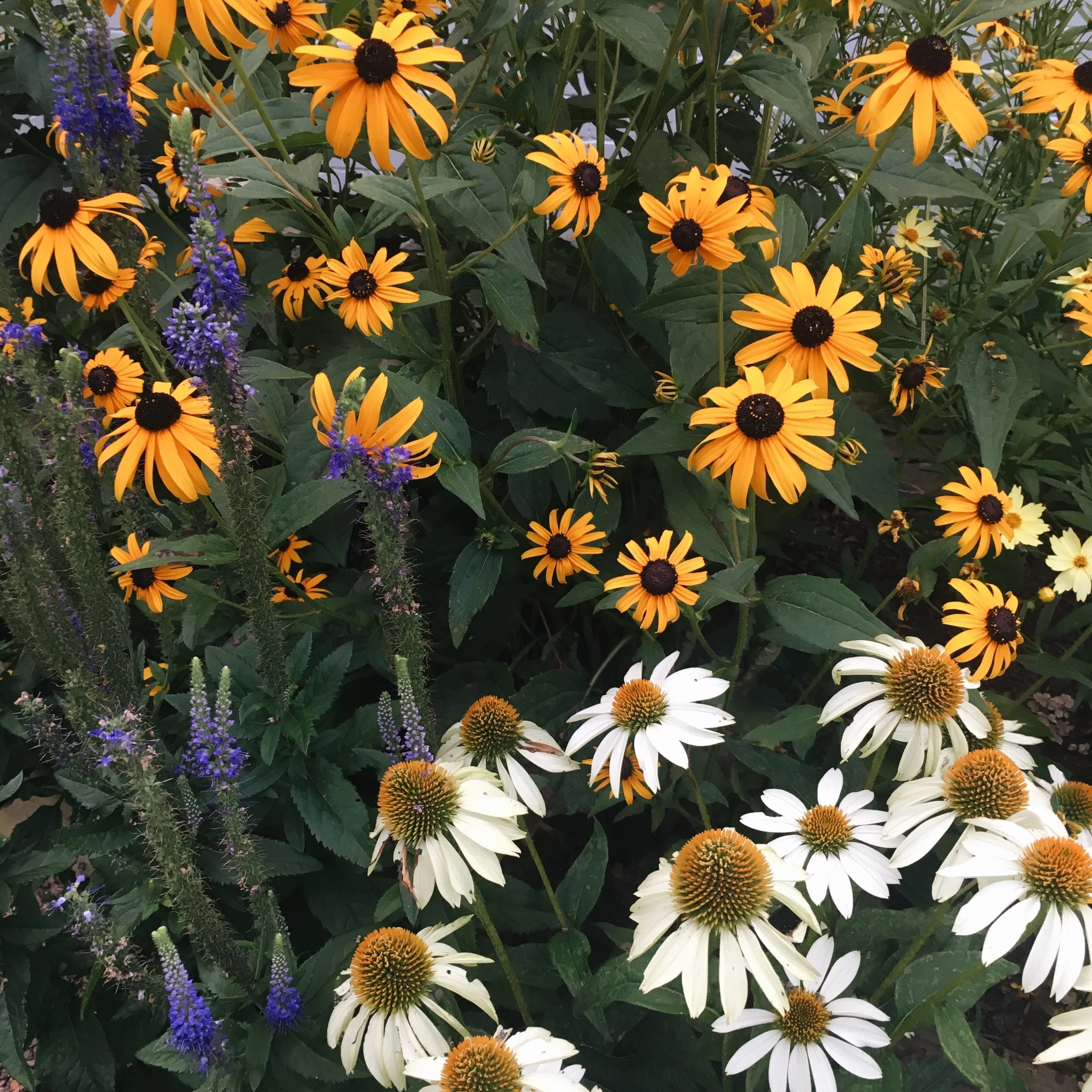 The RAD Stuff // Vol. 8