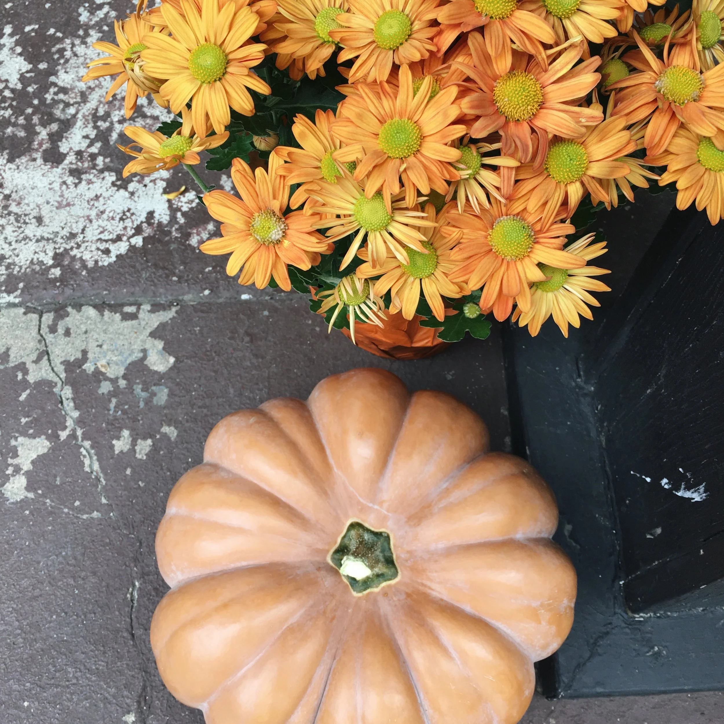 A Quarantine Bucket List (50+ ideas + a free printable!) — rachel a. dawson