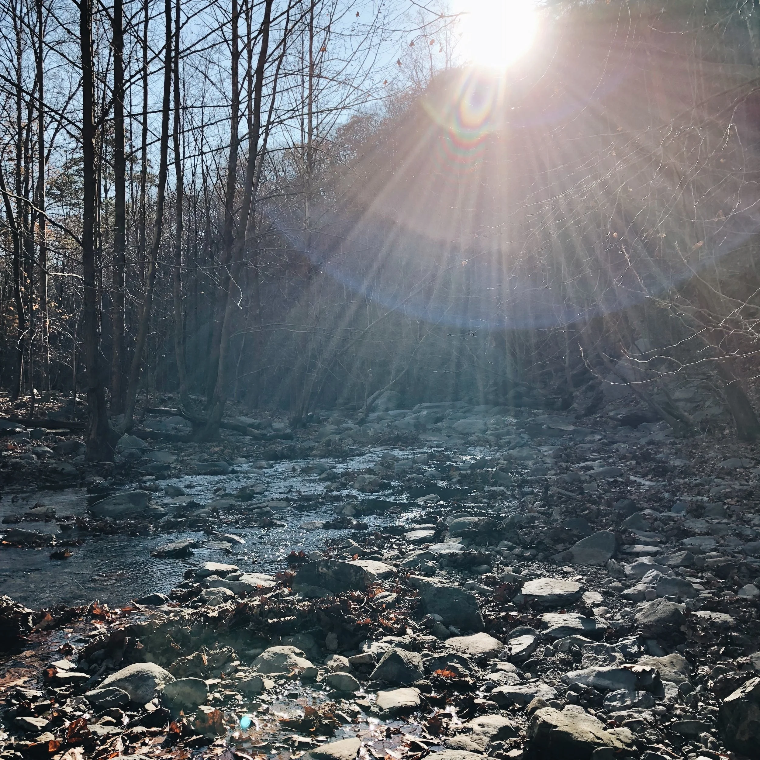 What Clarity Would Look Like (I Think)