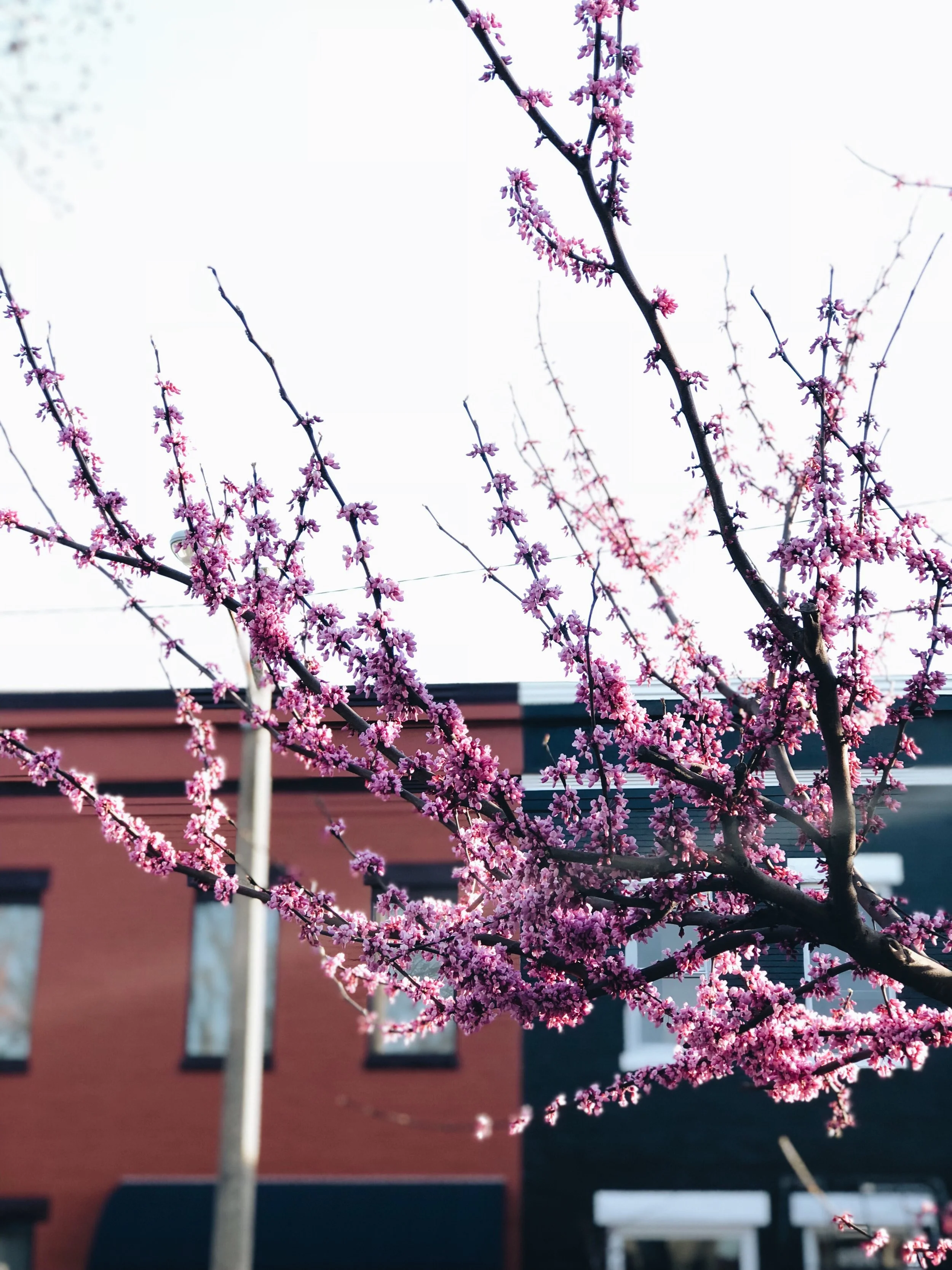 Why the Hardest (and Best) Thing to Do is Just Show Up