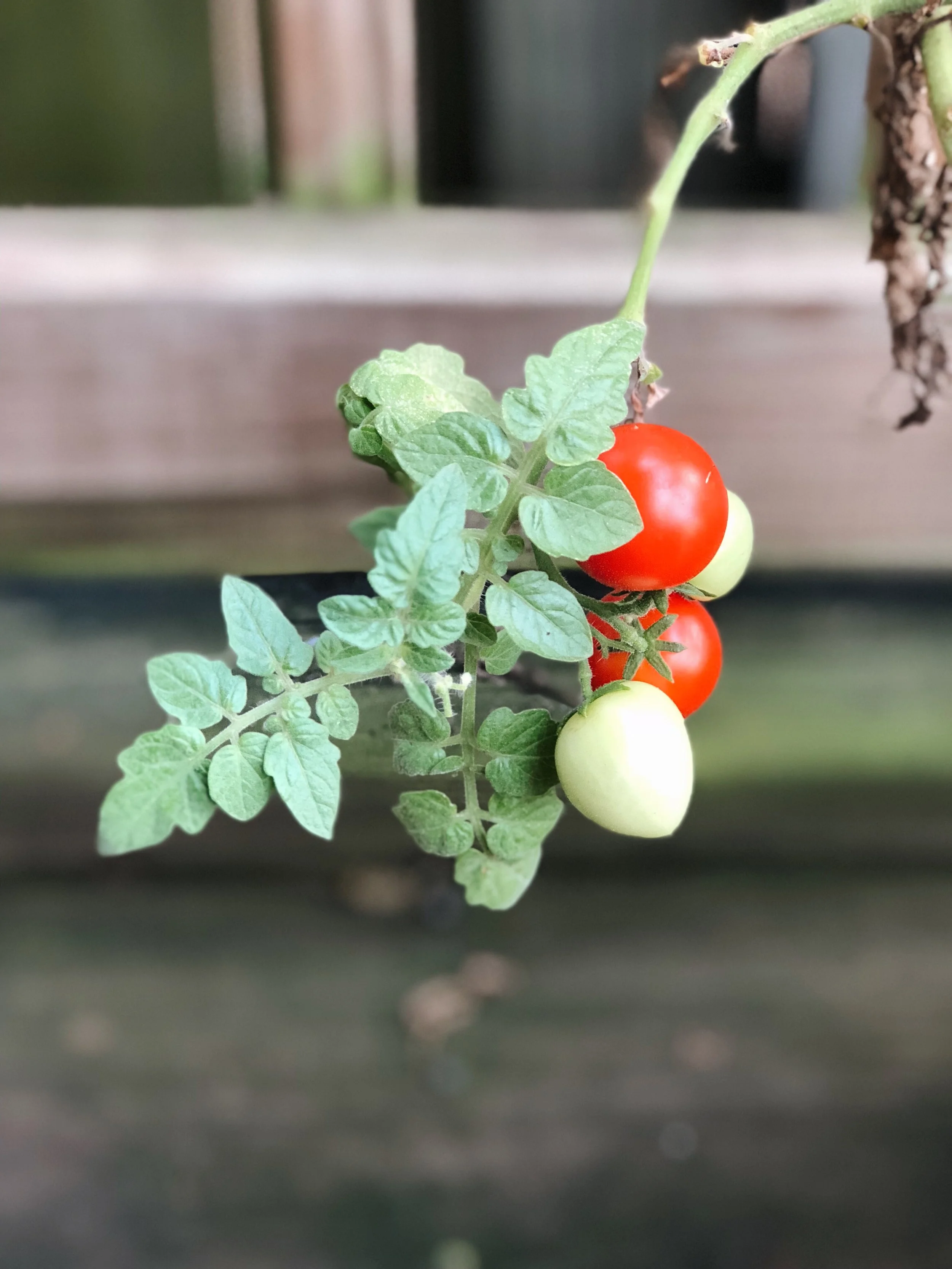 15 Easy Ways to Cut Down on Unnecessary Waste