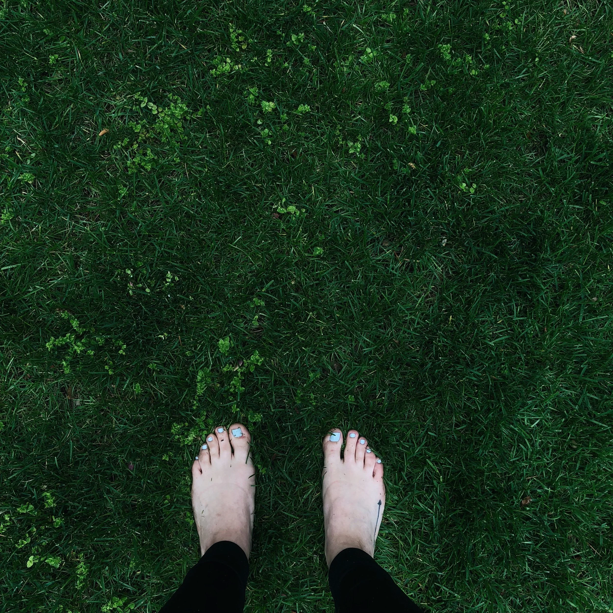 on green things and staying grounded.