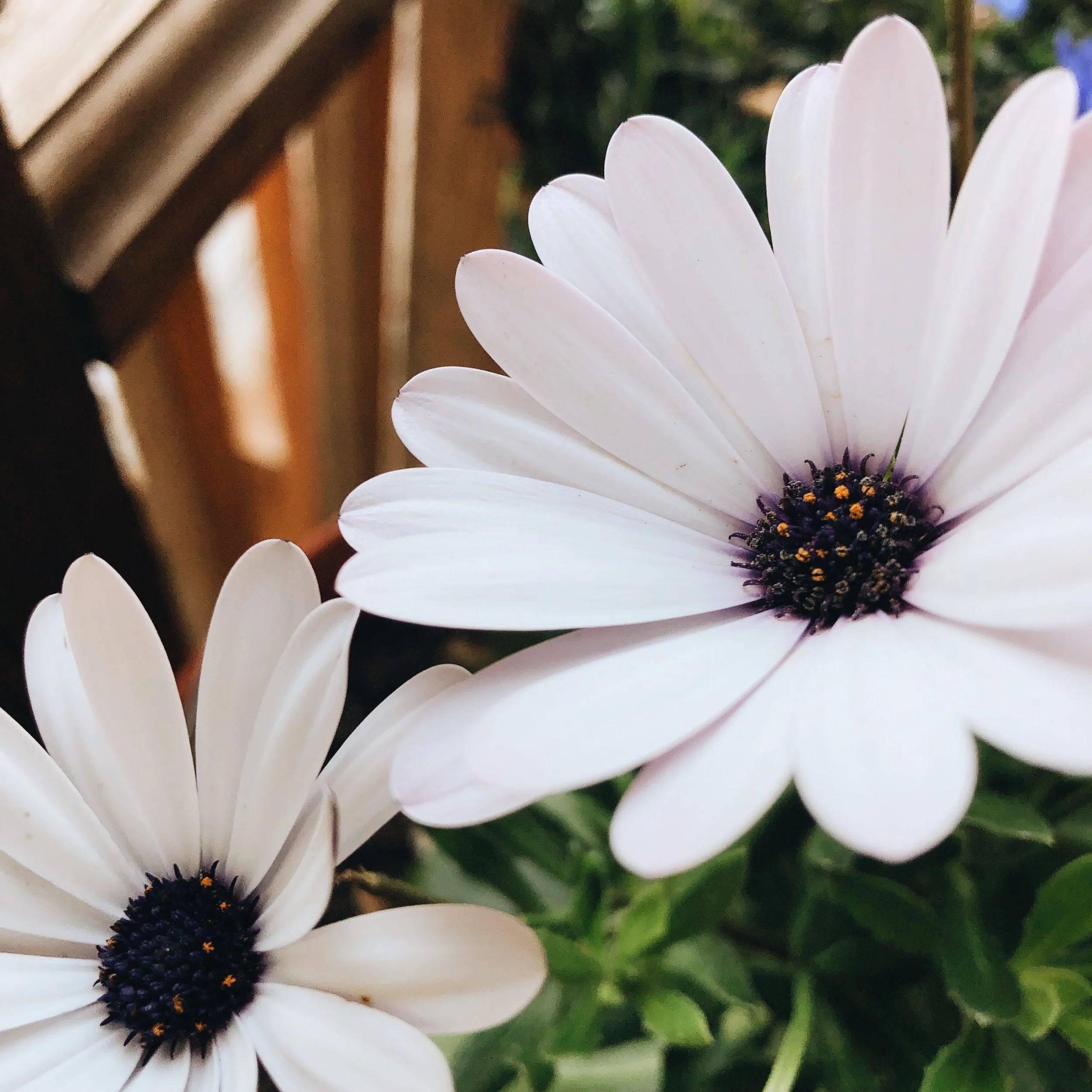 Currently // May 2018