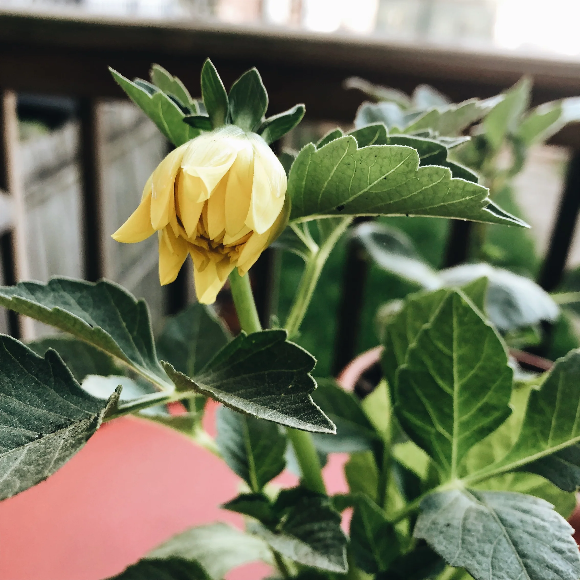 When You Realize Loving People Hurts