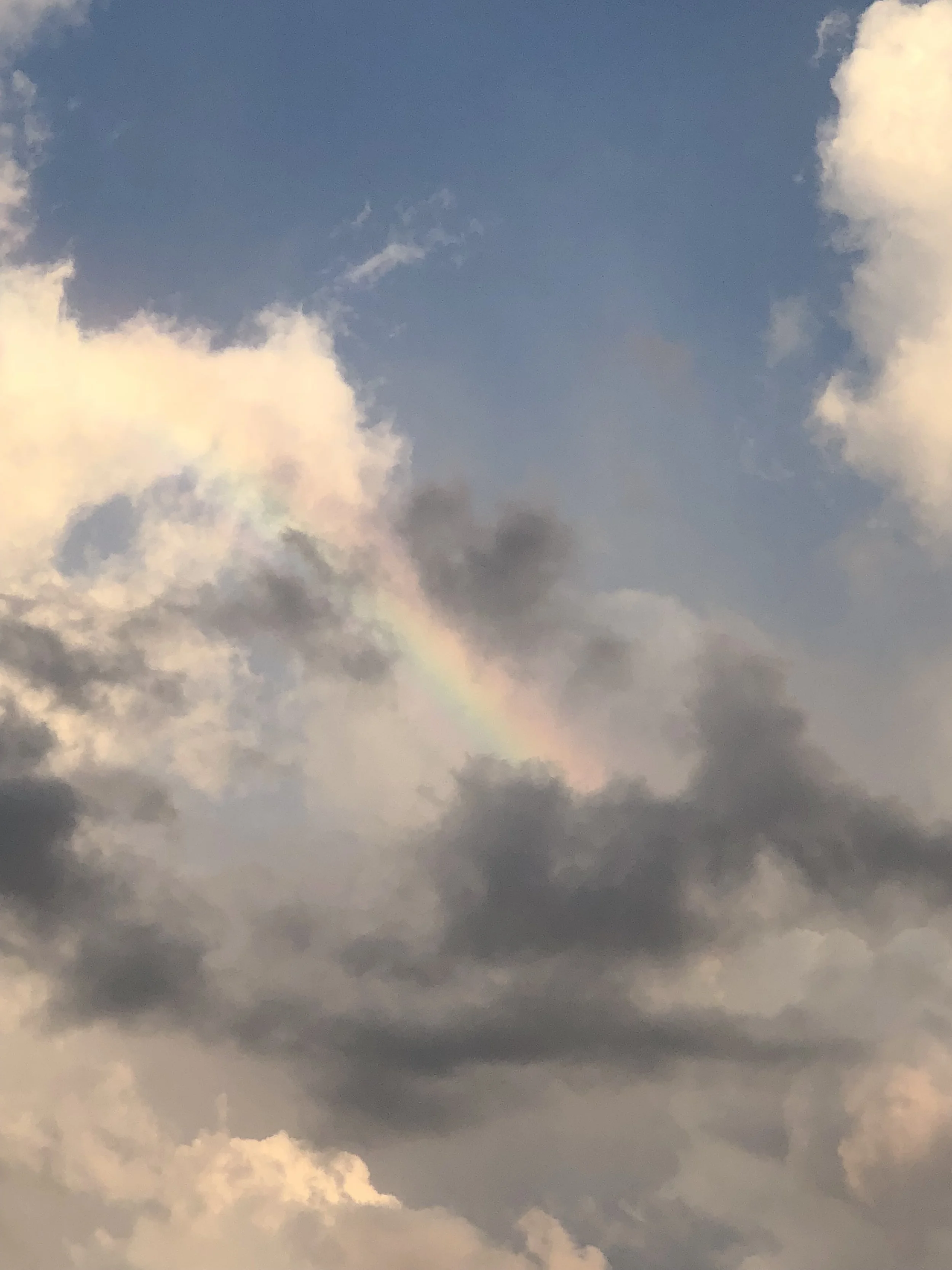 Counseling and Courage: How Showing Up is Saving Me