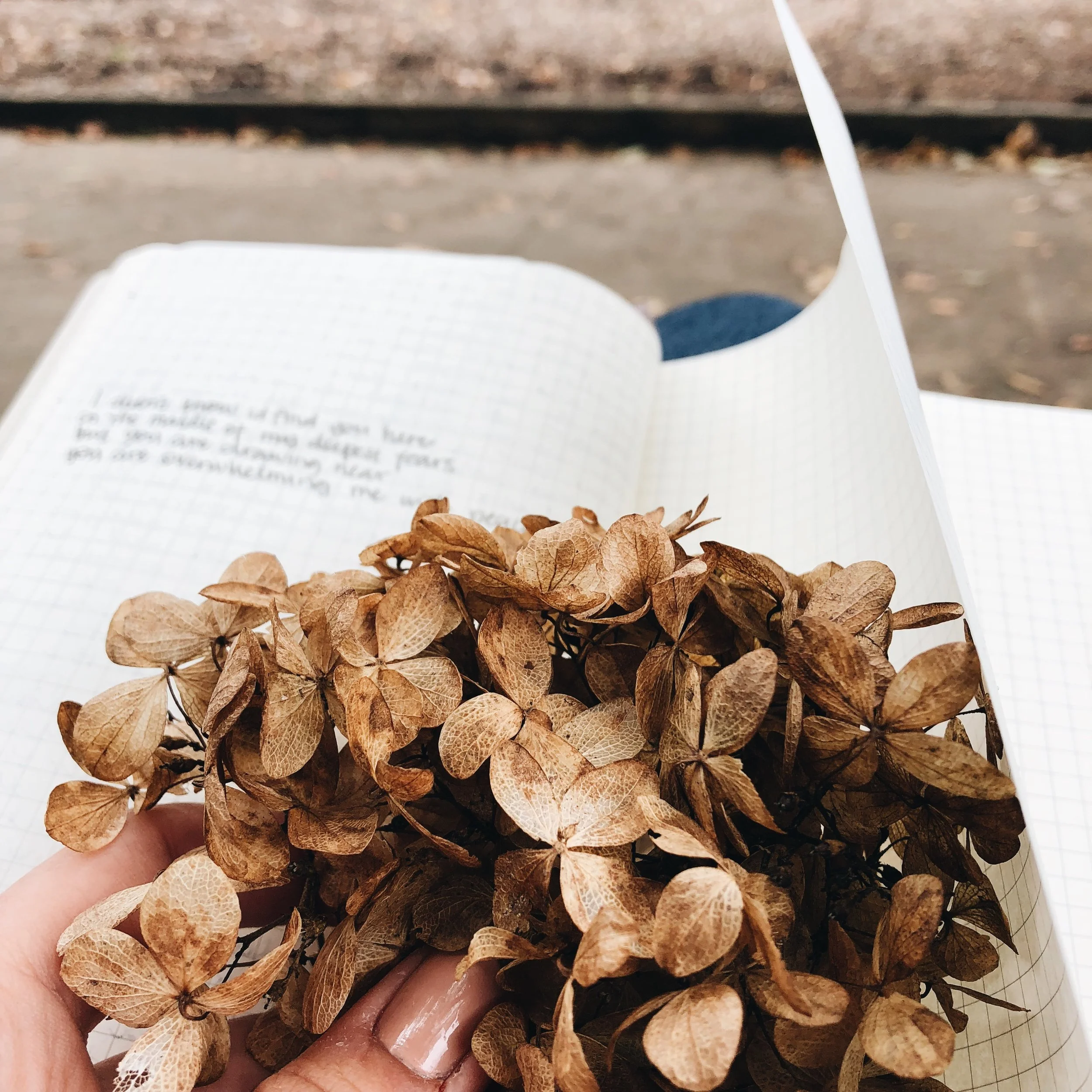 Broken but Beloved: It's Time to Tell My Story