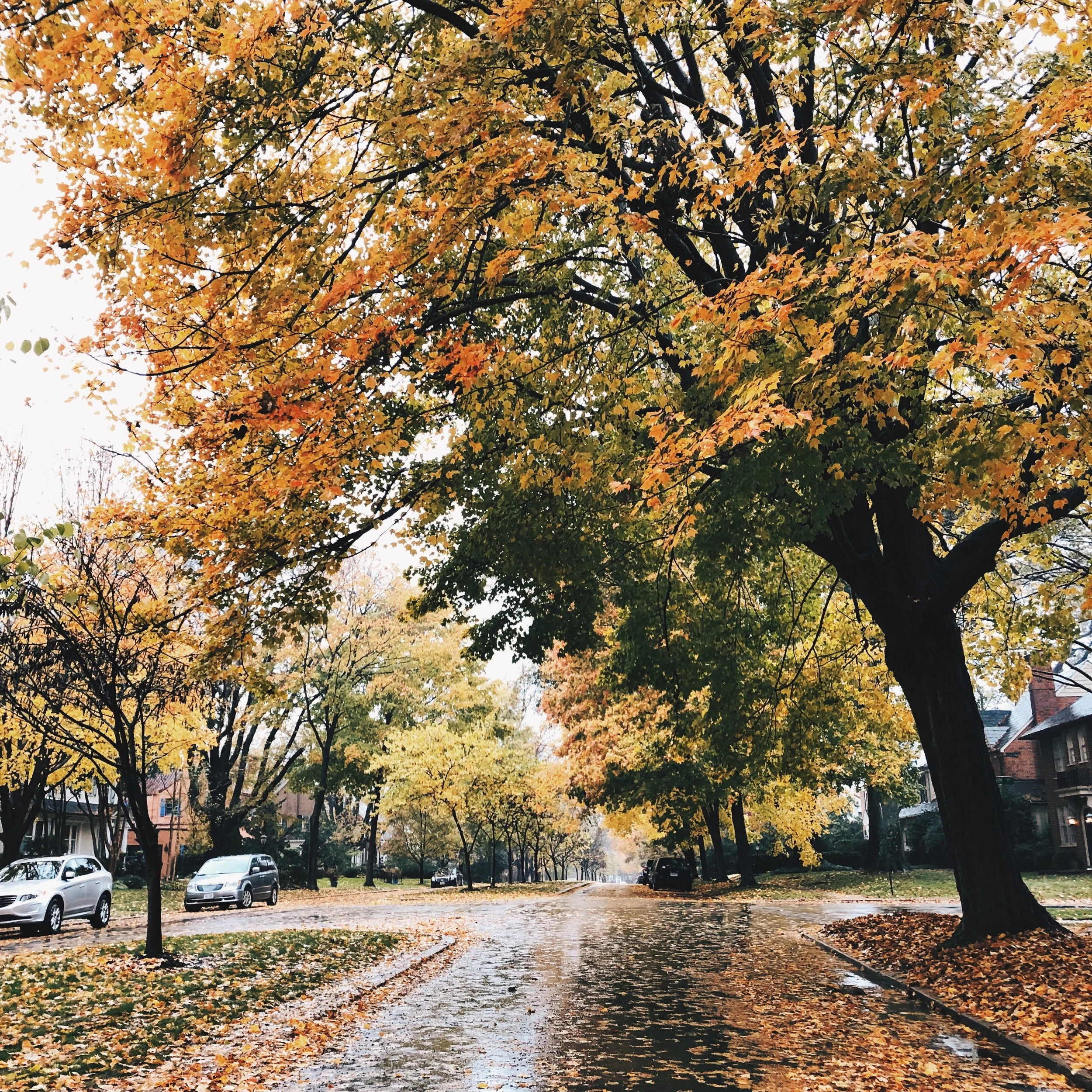 The RAD Stuff // Vol. 22