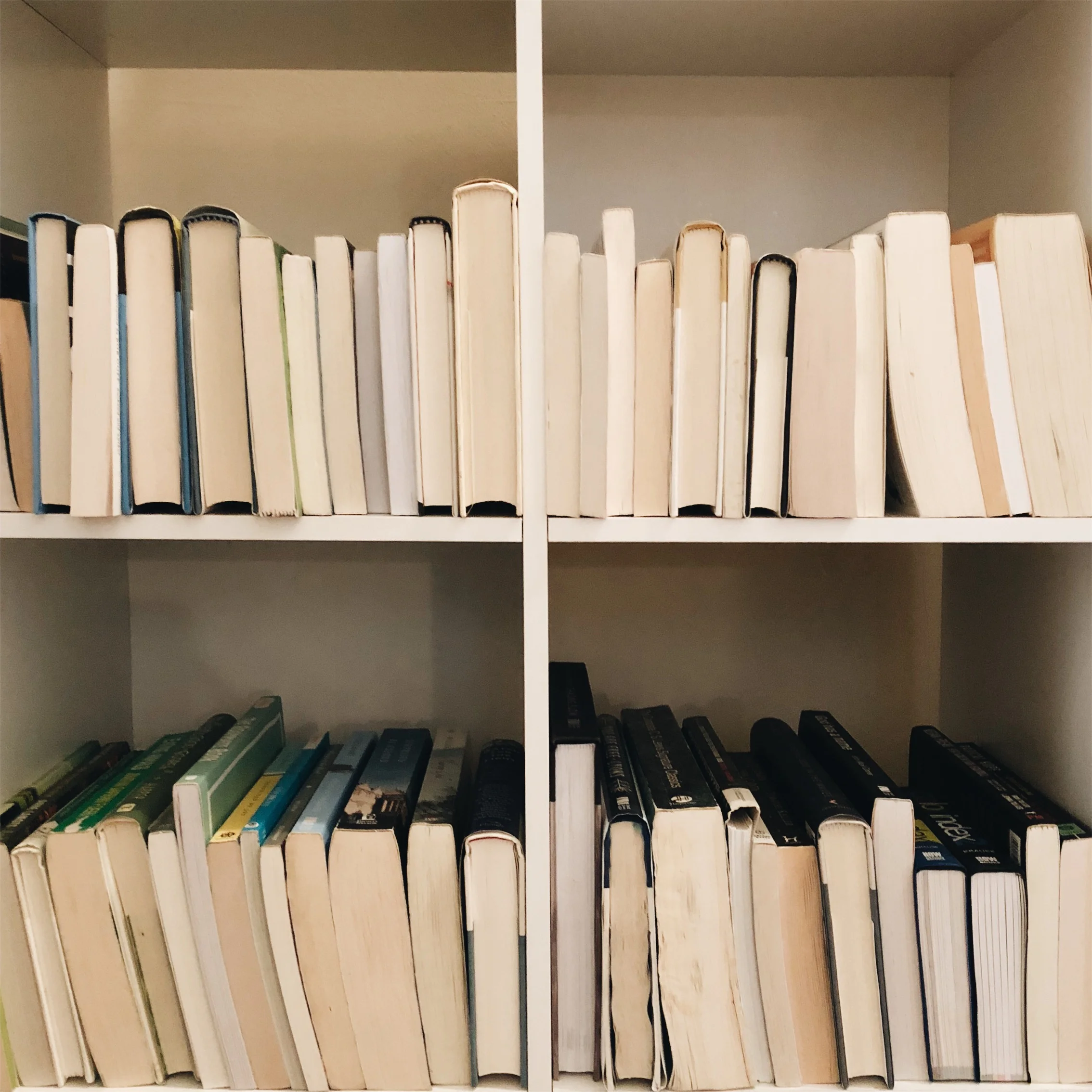 The 12 Best Books I Read in 2018 (All Written by Women!)