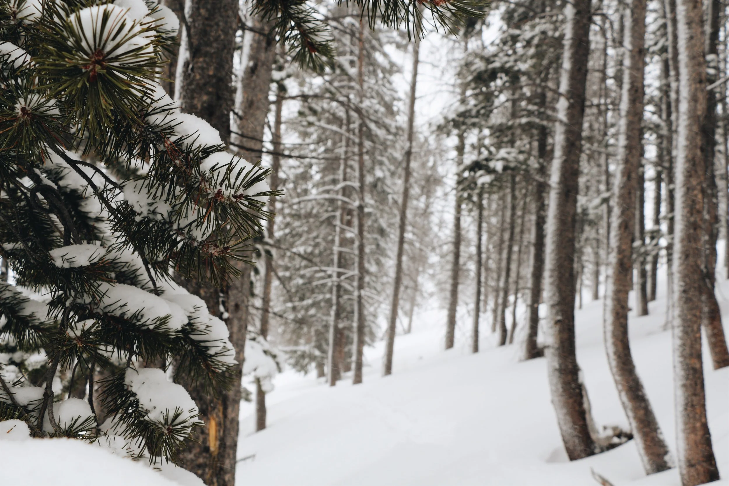 What's Saving My Life This Winter