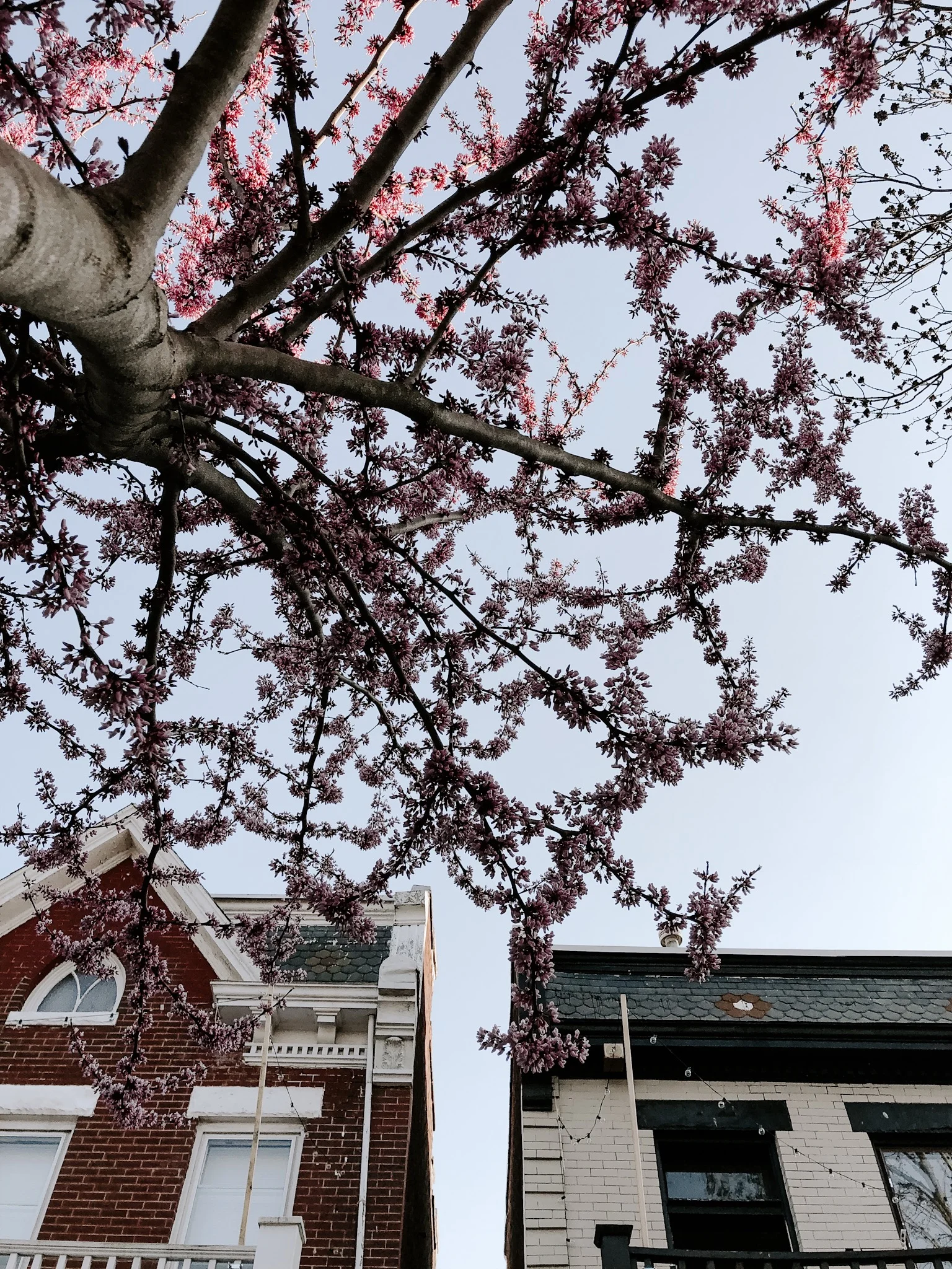 Currently // April 2019