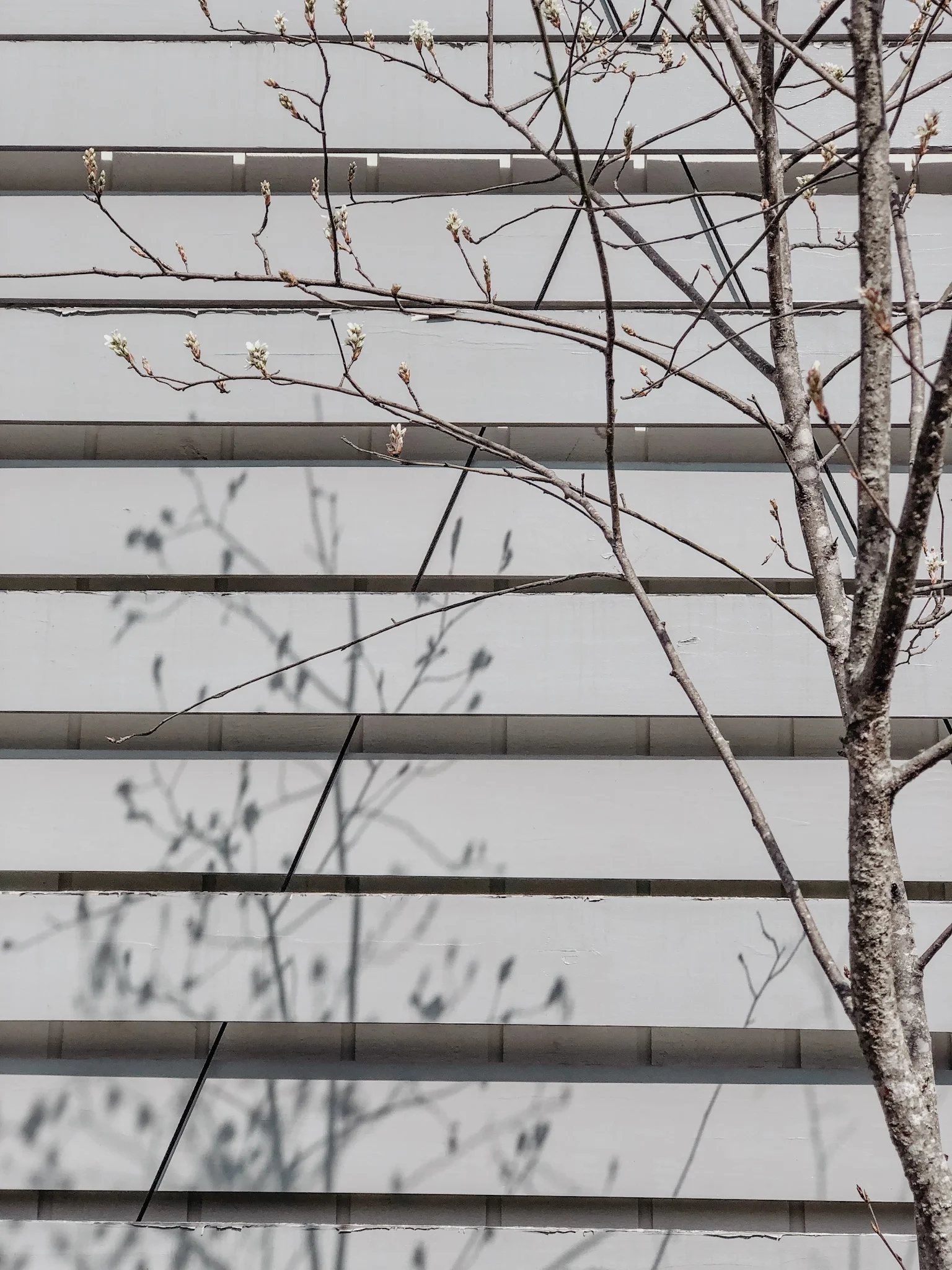 A Poem for Easter Weekend