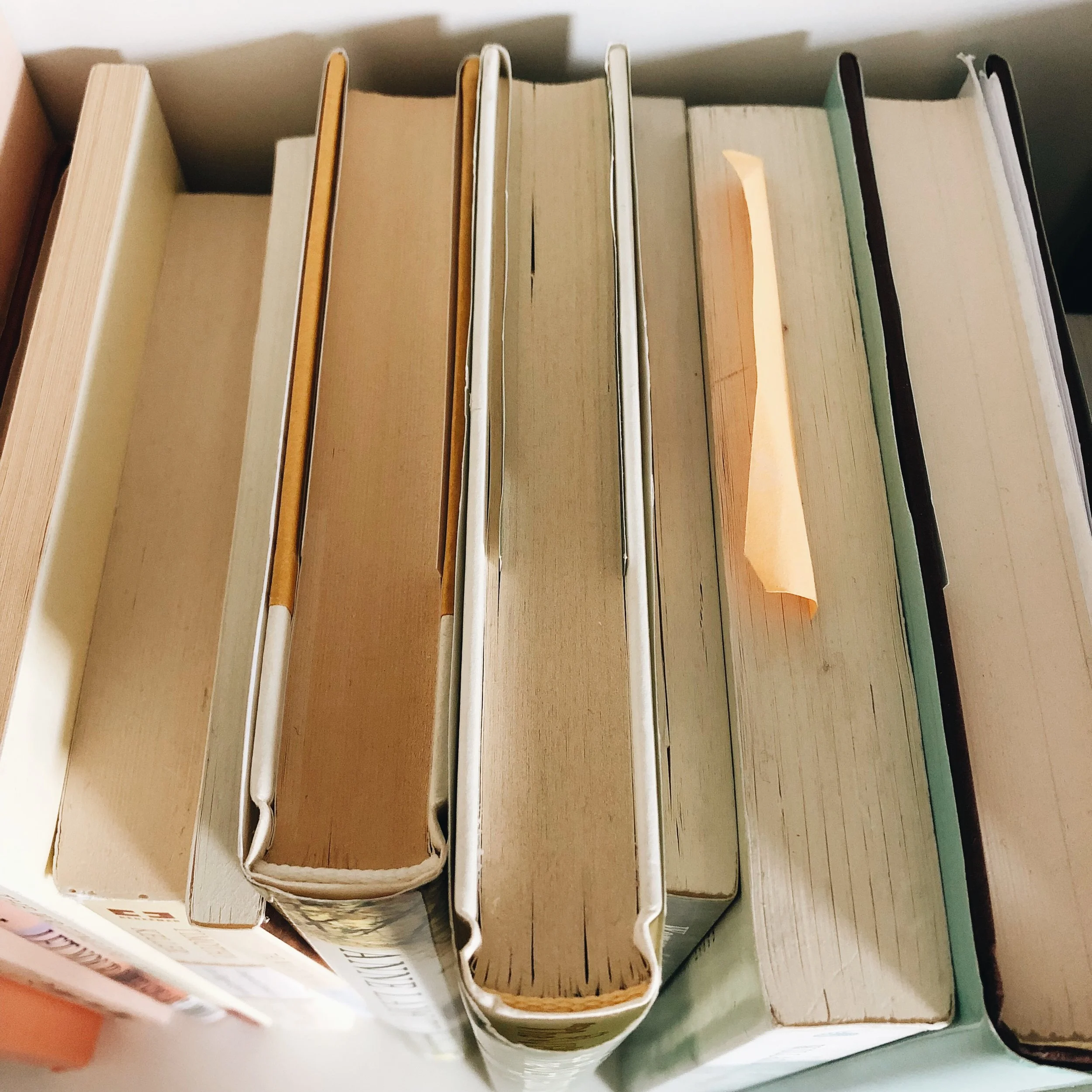 An "Evolving Faith" Reading List // 2019 Edition