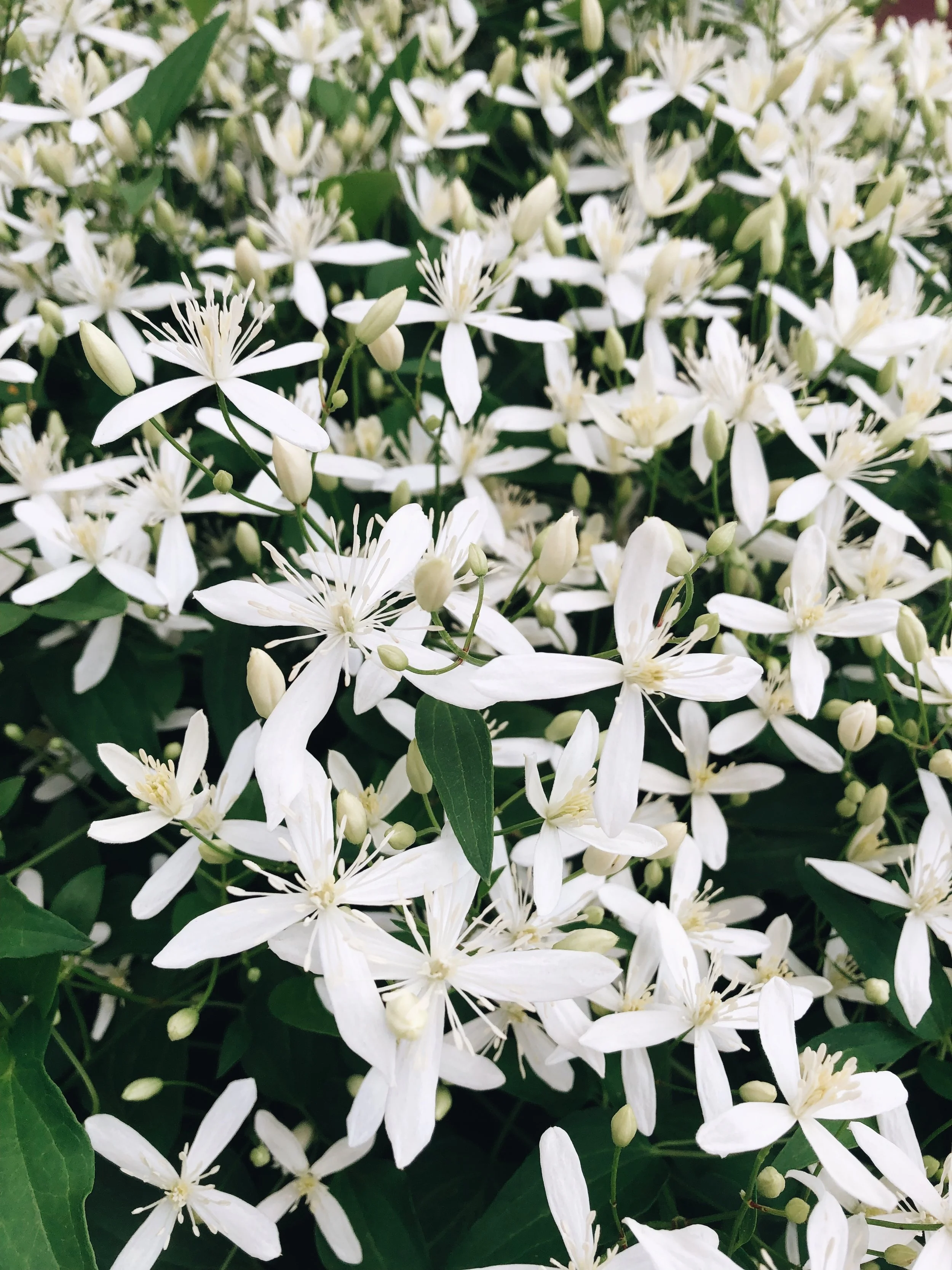 Currently // September 2019