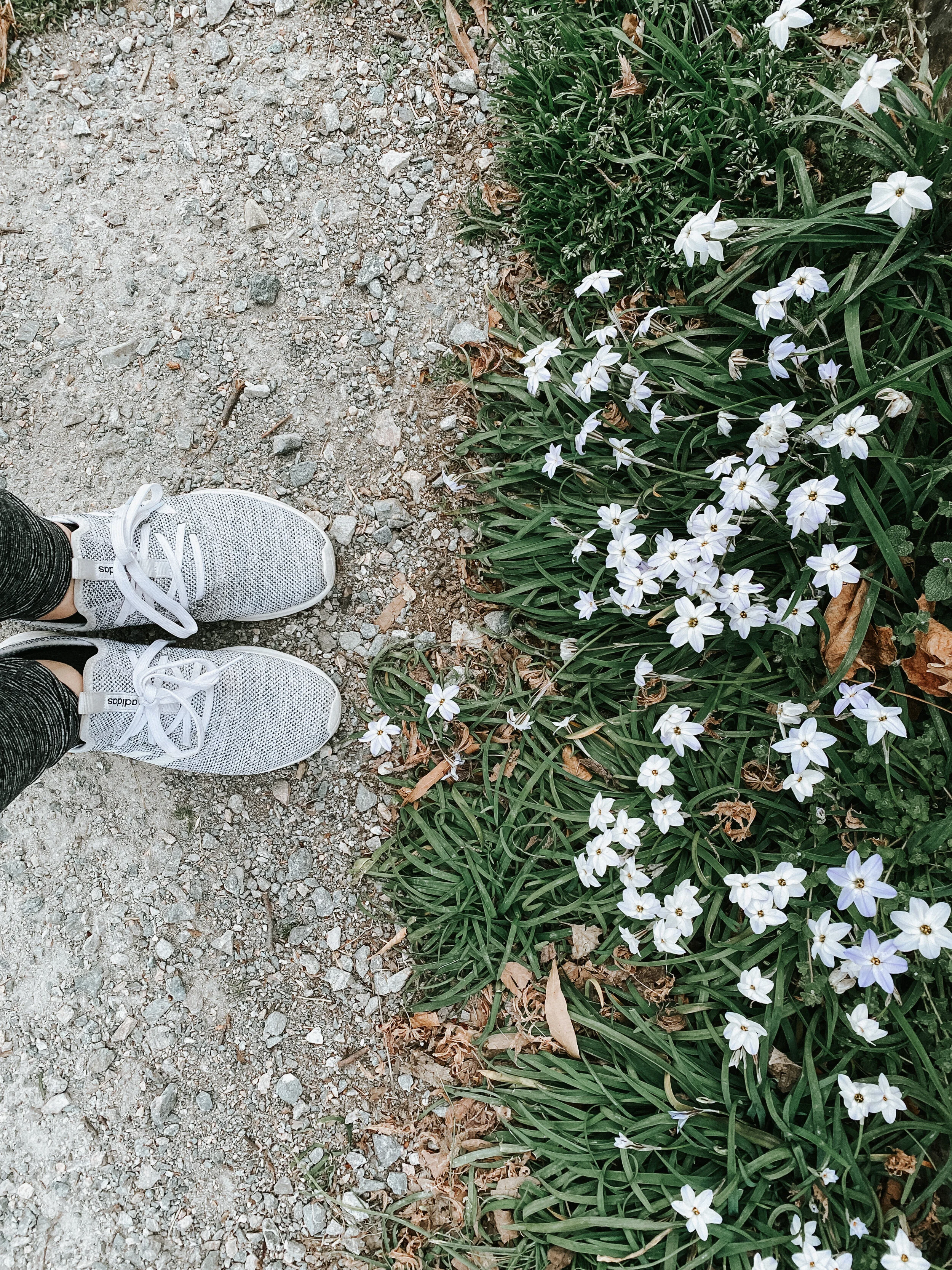 episode 4: young adult lit + taking walks + fake it til you make it (or not)